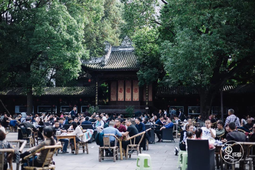 成都人,坐茶館去