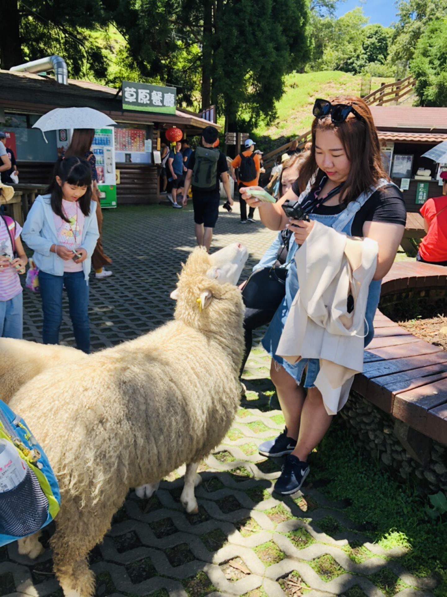 南投自助遊攻略