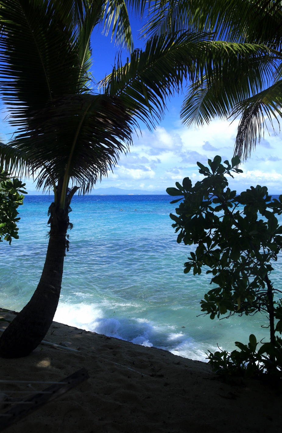 比奇科默岛(五)