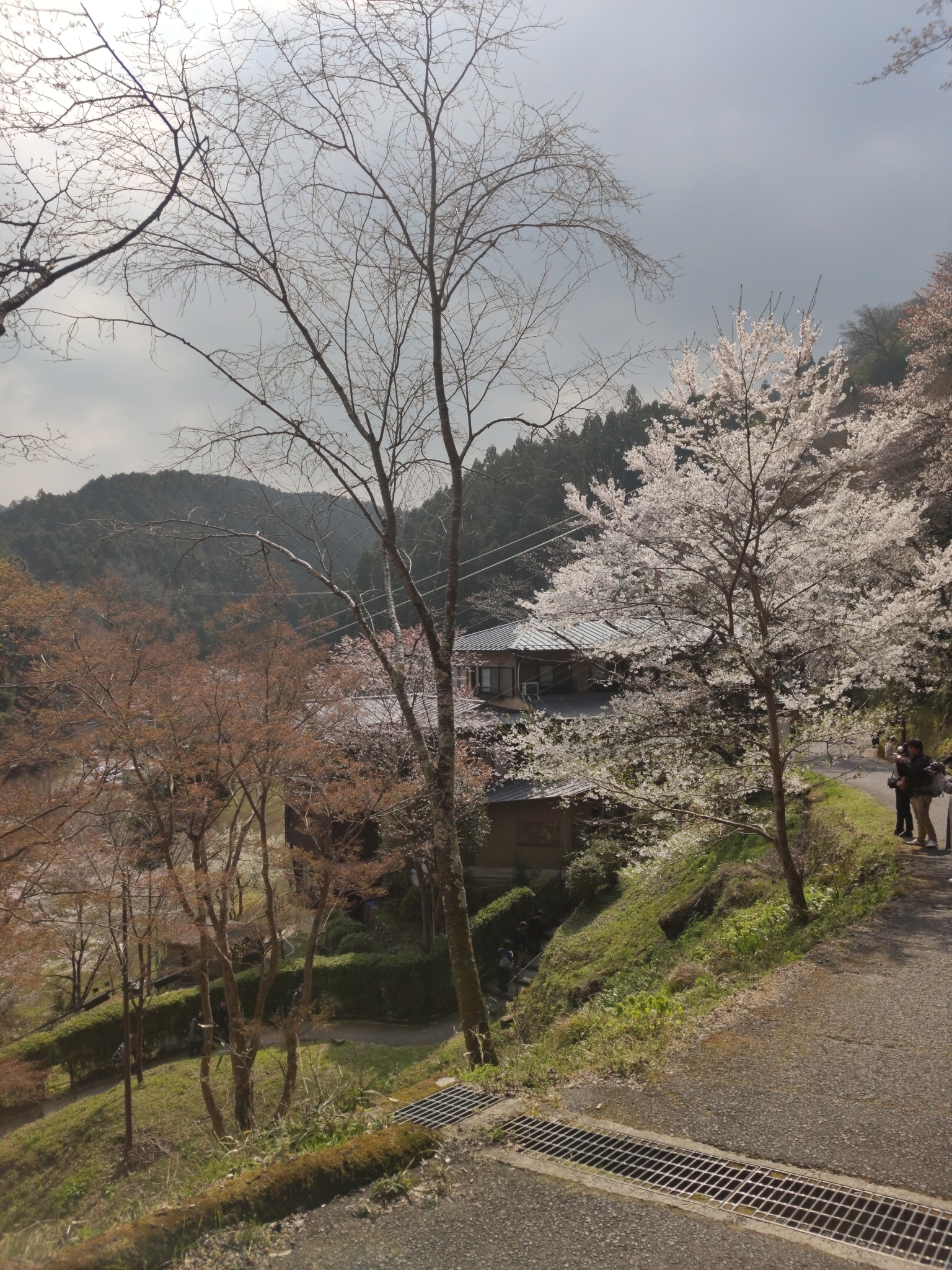 奈良自助遊攻略