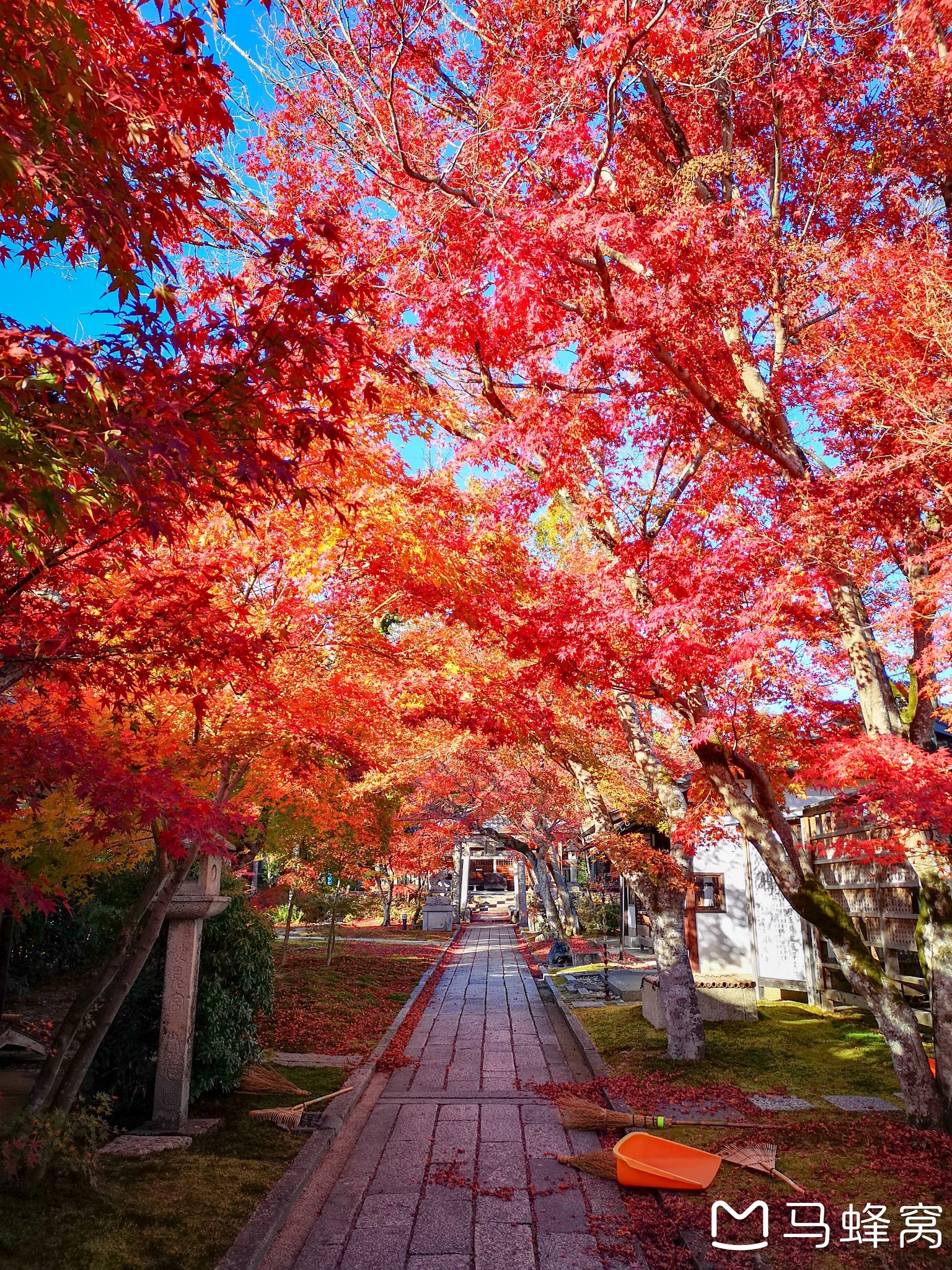 京都自助遊攻略