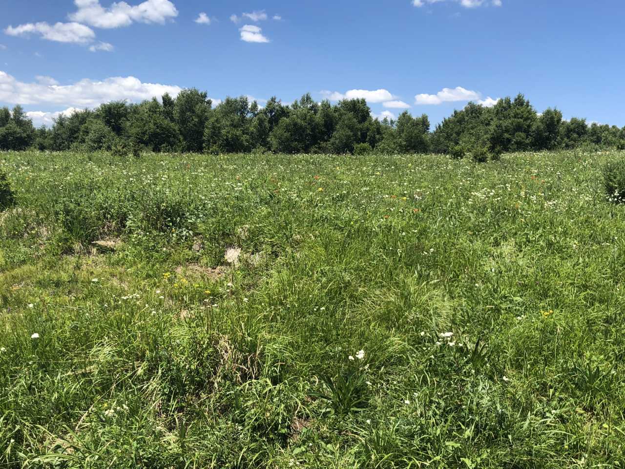 门头沟百花山天气预报今日情况 门头沟百花山天气预报今日情况