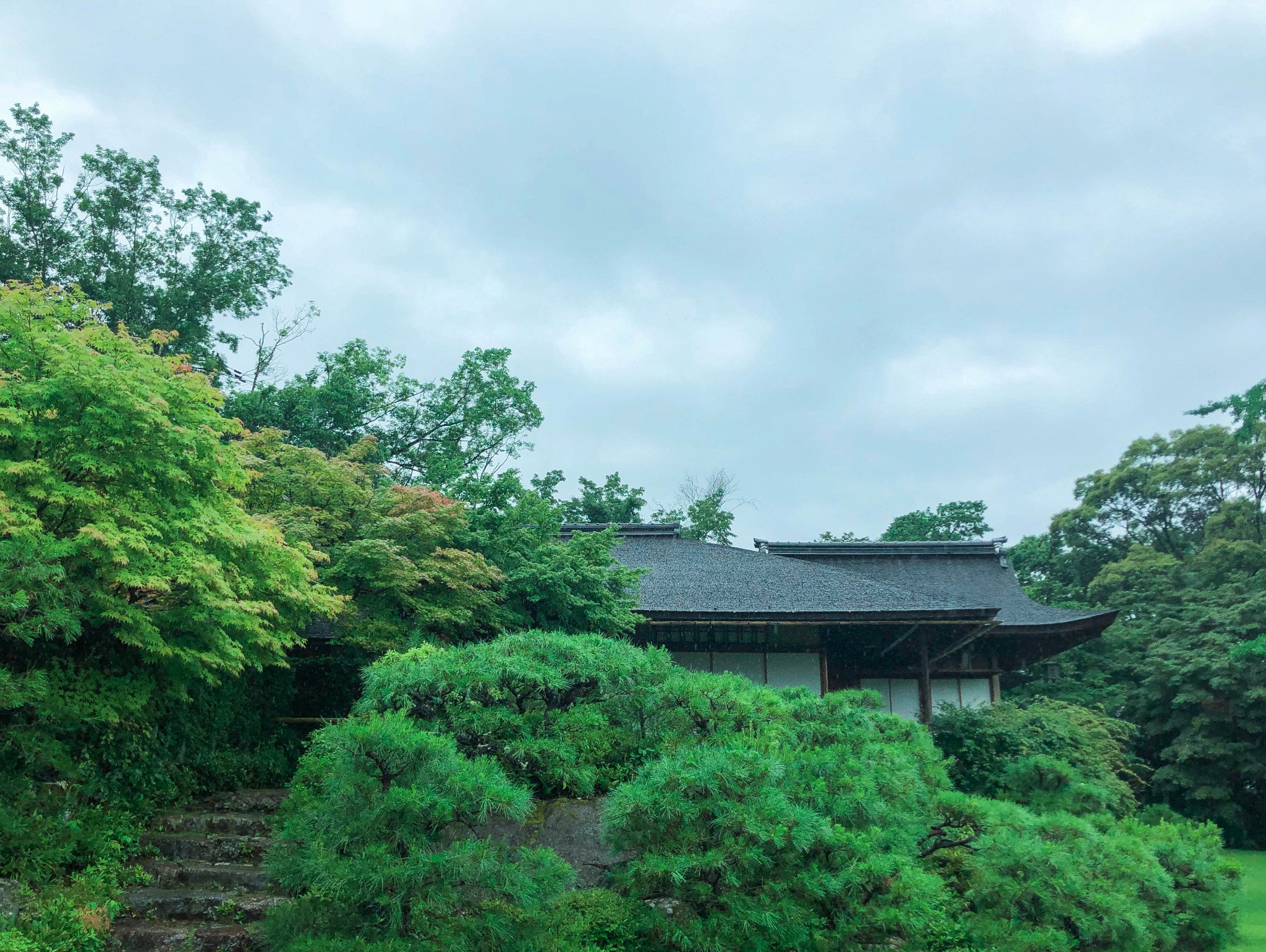 京都自助遊攻略