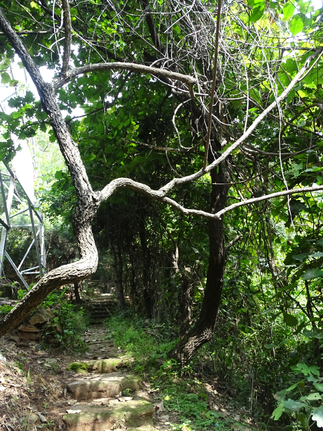 秋风铁马叩散关——陕西宝鸡大散关遗址公园一游(附诗),宝鸡旅游攻略