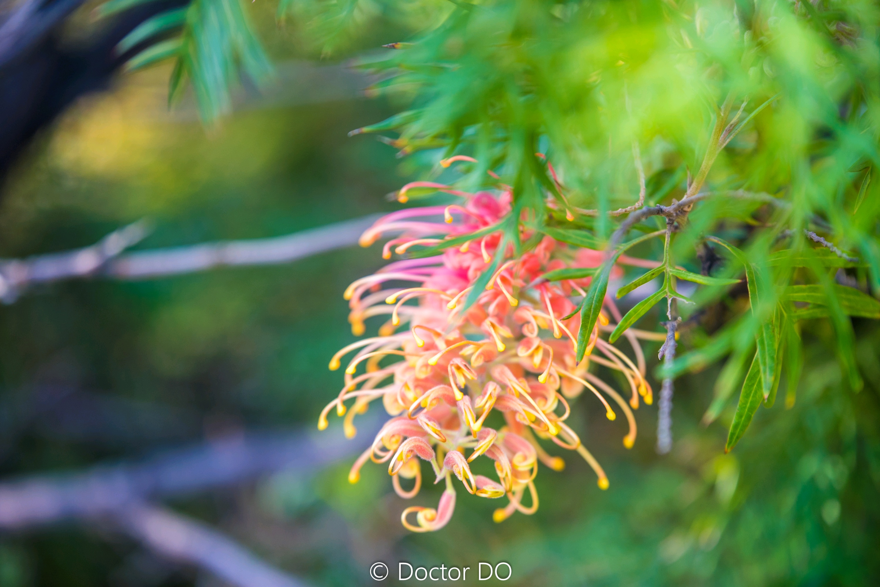 Kalgoorlie Boulder Audio Walking Tour