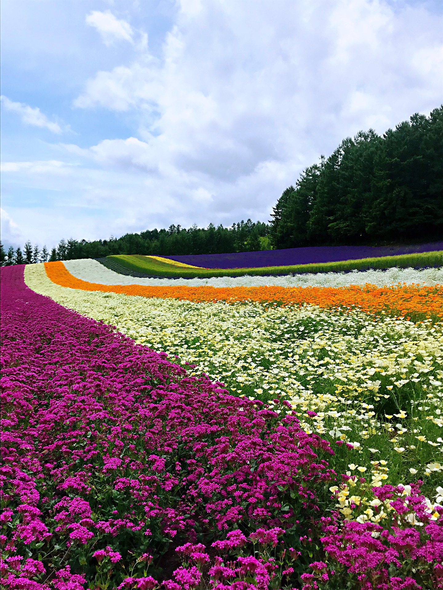 北海道自助遊攻略