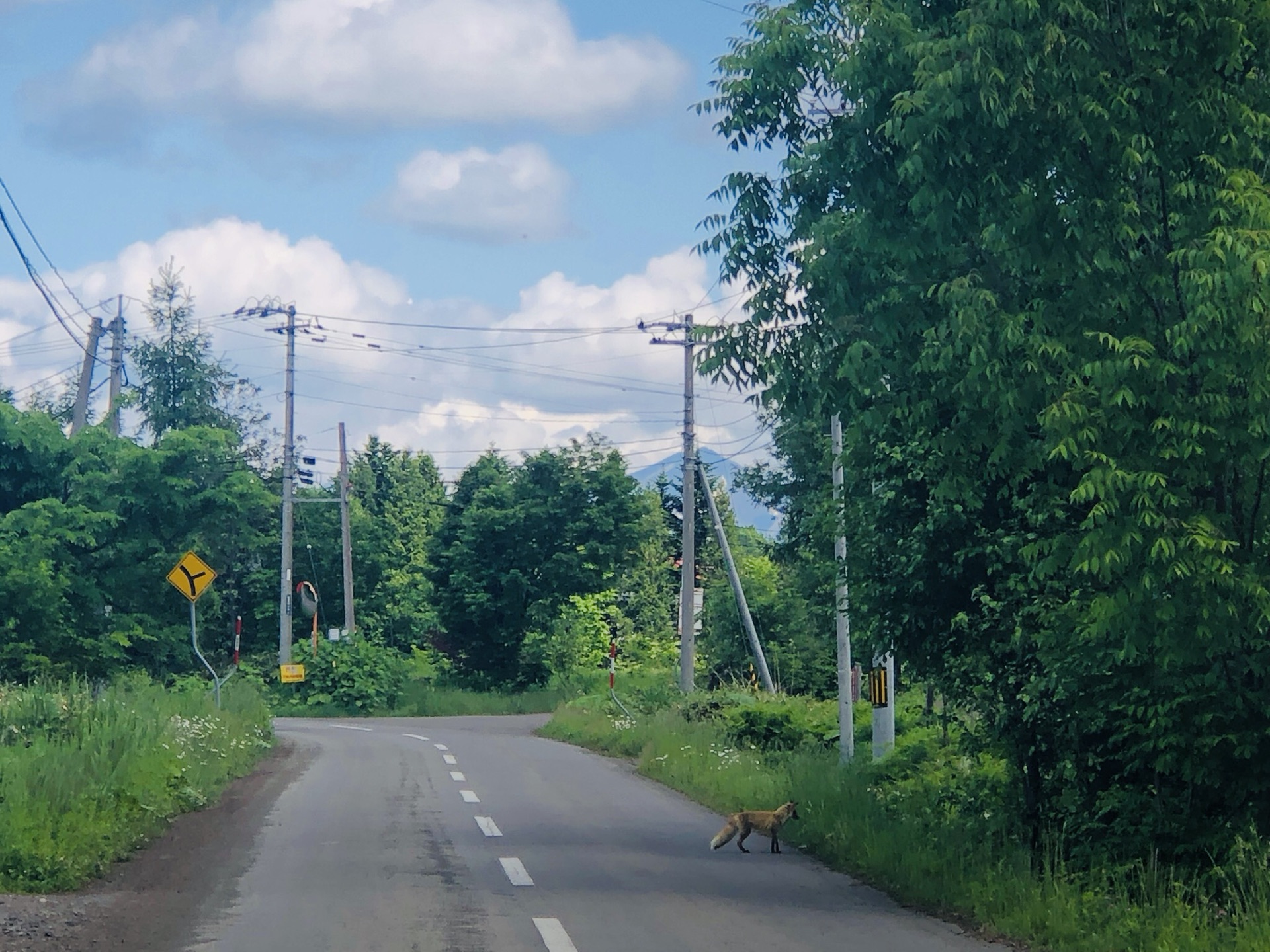 北海道自助遊攻略