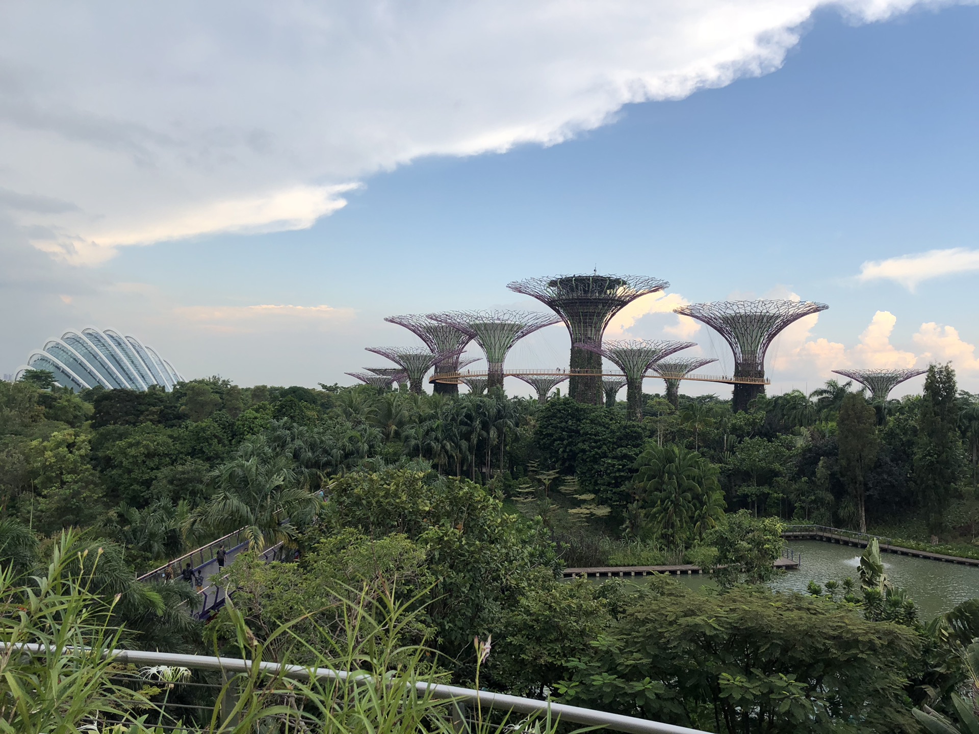 新加坡马尔代夫神仙珊瑚岛佛系带娃游