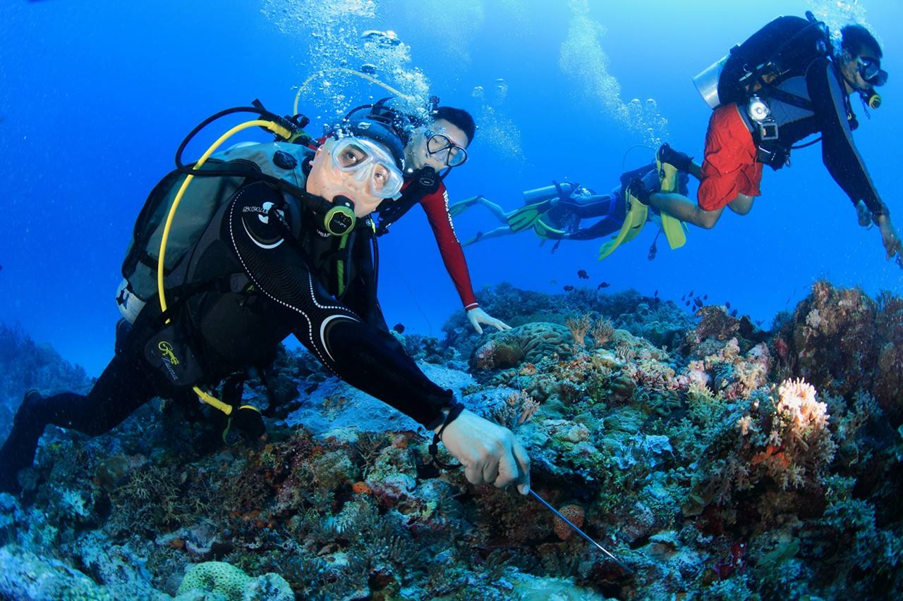 海底漫步(seawalker)