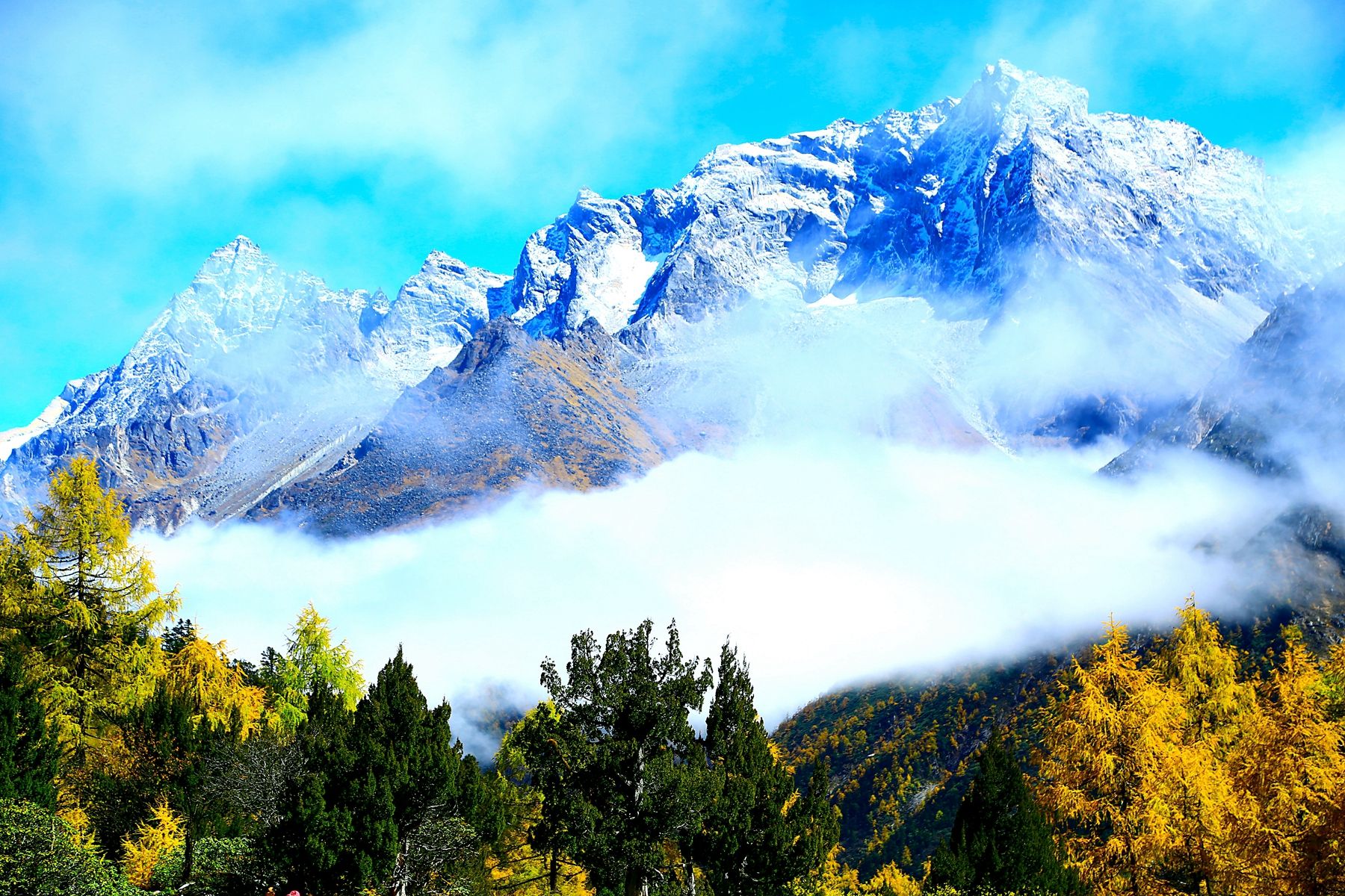 層林盡染|畢棚溝紅葉節,畢棚溝旅遊攻略 - 馬蜂窩