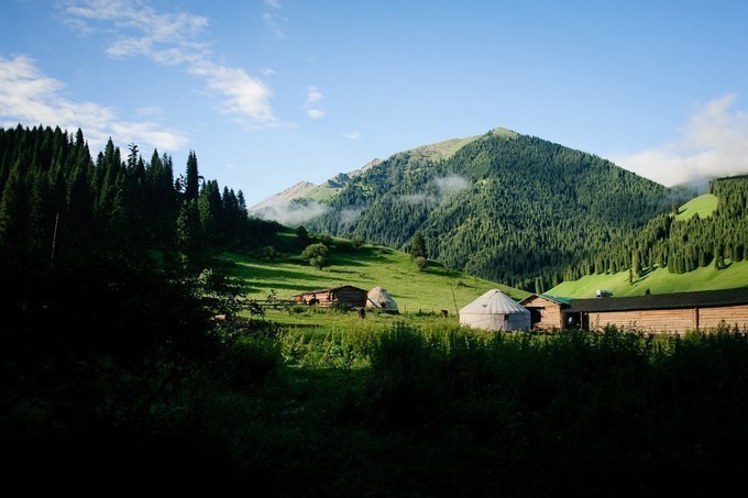 新疆の夏——仲夏夜 草原,森林,湖泊,花田浪哩个,新疆旅游攻略,新疆