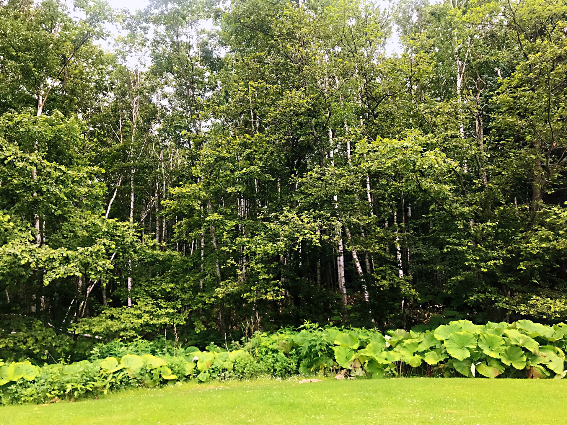 北海道自助遊攻略