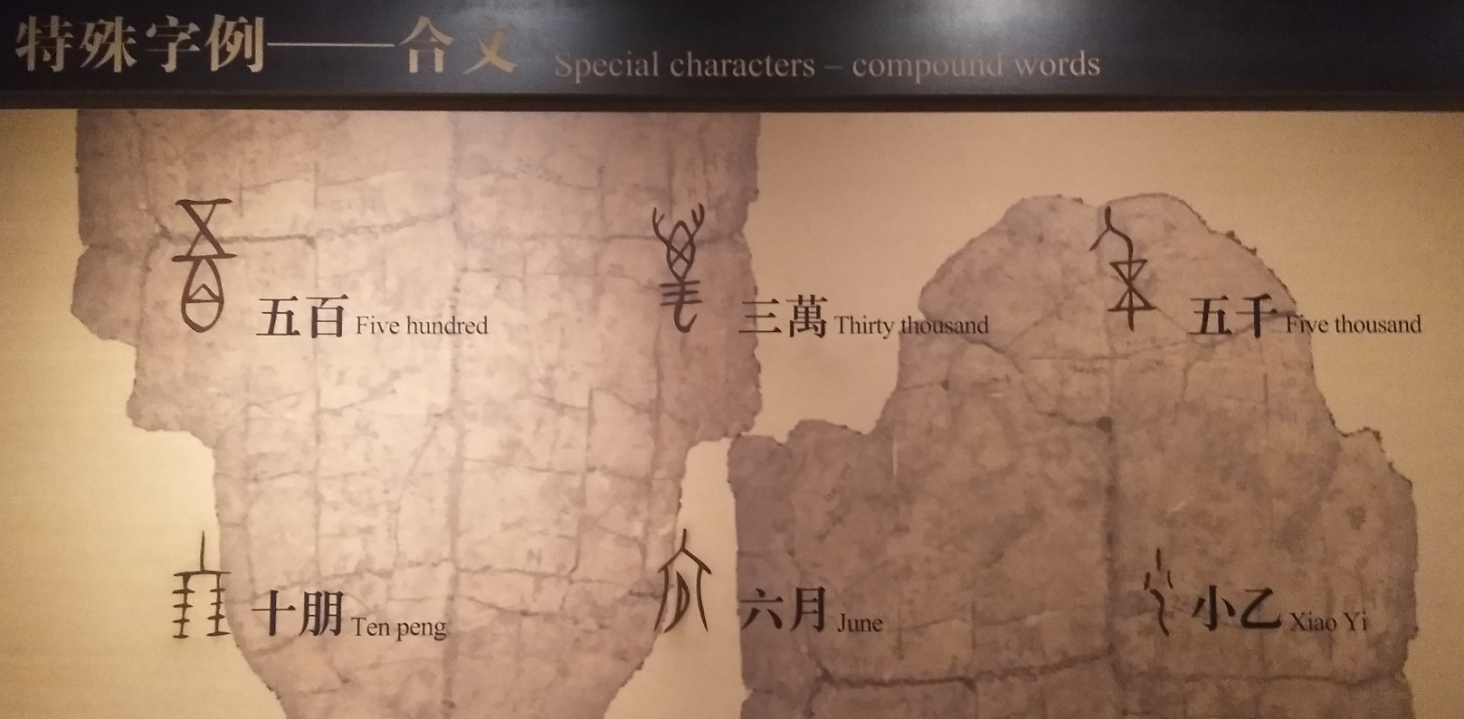 中国文字博物馆导览大全（三）·字的起源及甲骨文造字- 马蜂窝