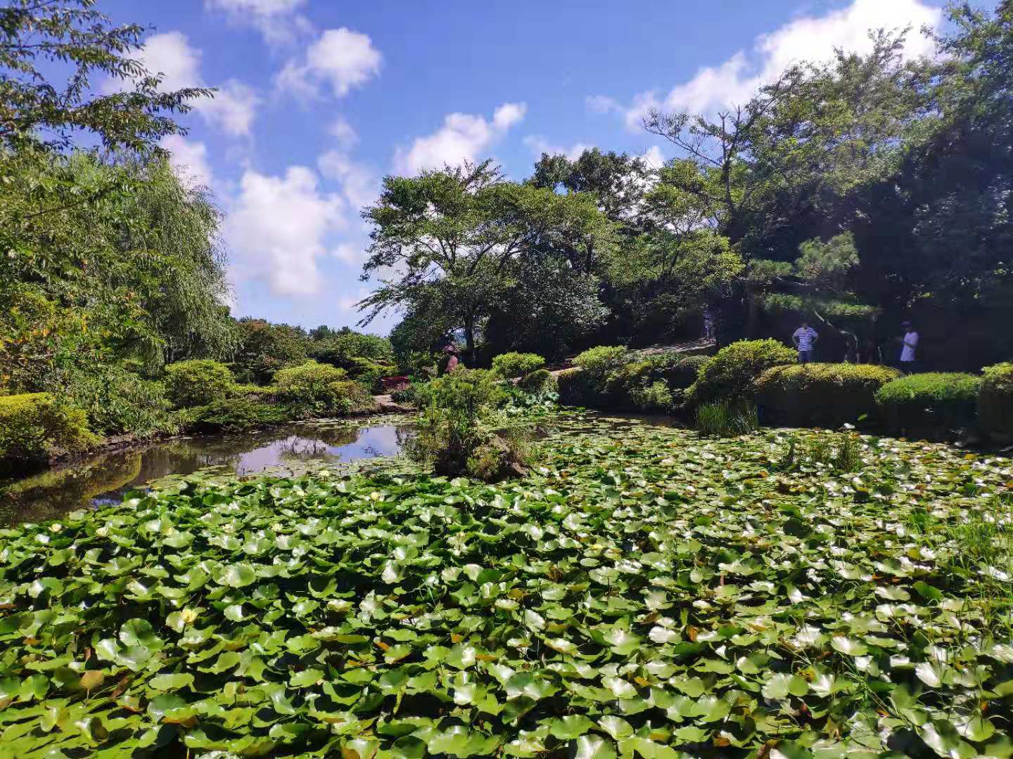 濟州島自助遊攻略