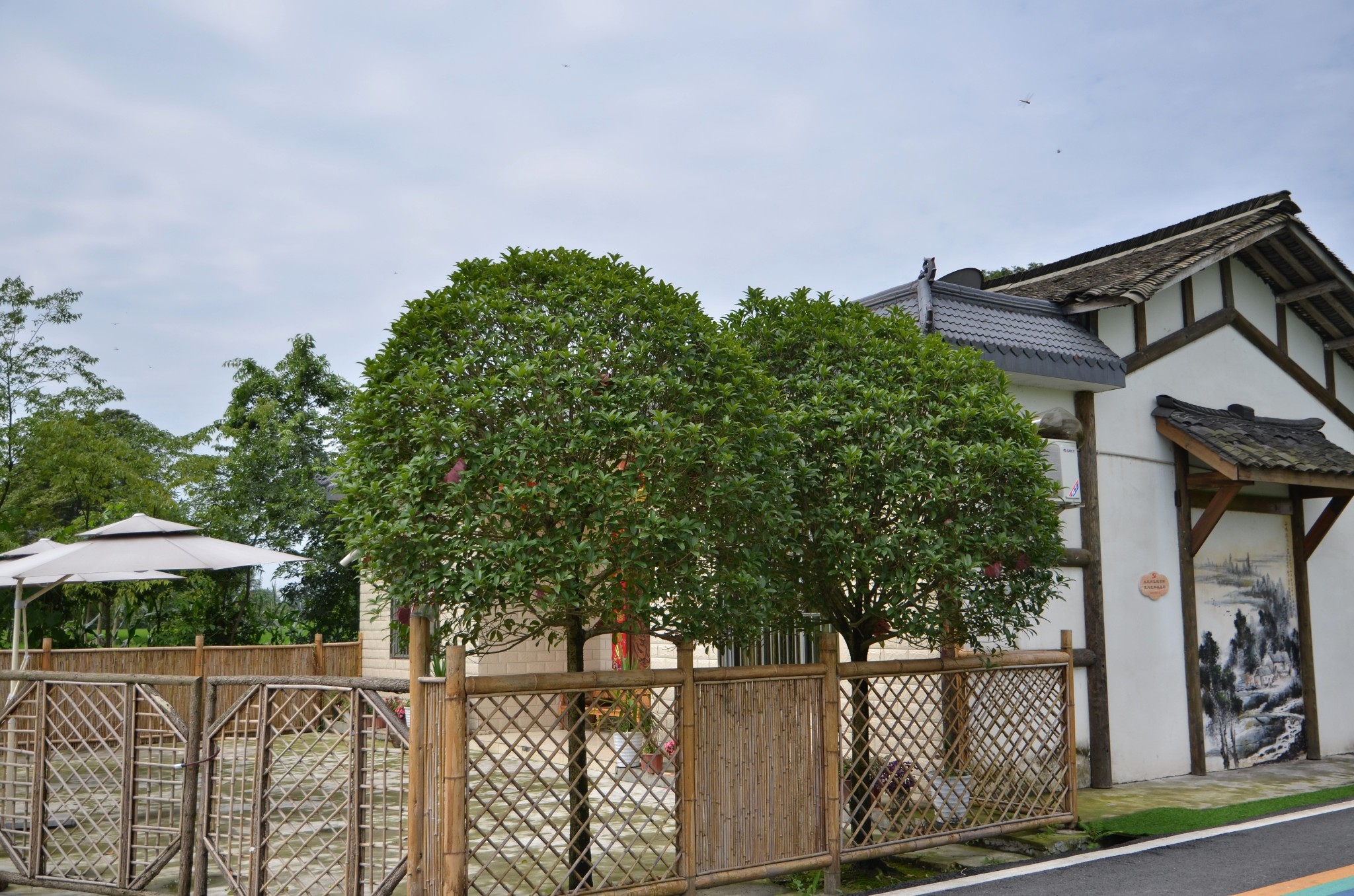 美丽乡村都江堰柳街镇七里诗乡景区