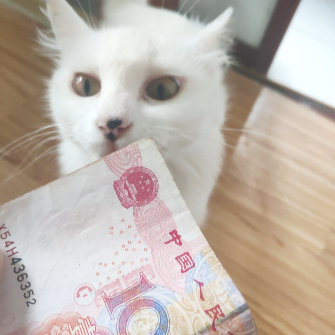 氣泡紅茶