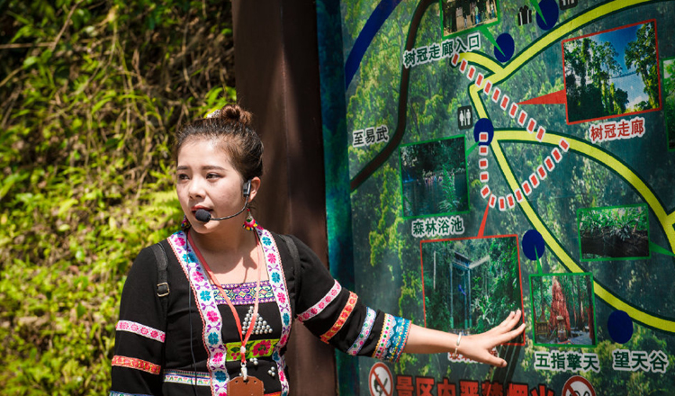 真纯玩·西双版纳望天树水陆空套票一日游含导游讲解(无隐形消费 无