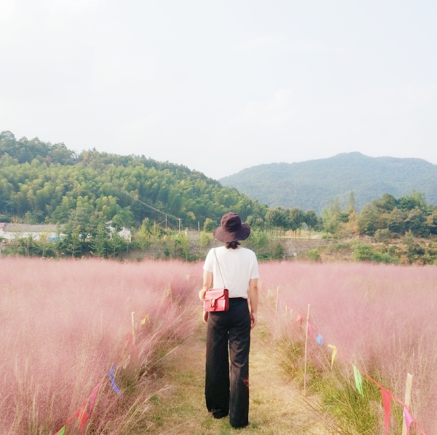 船仓花海