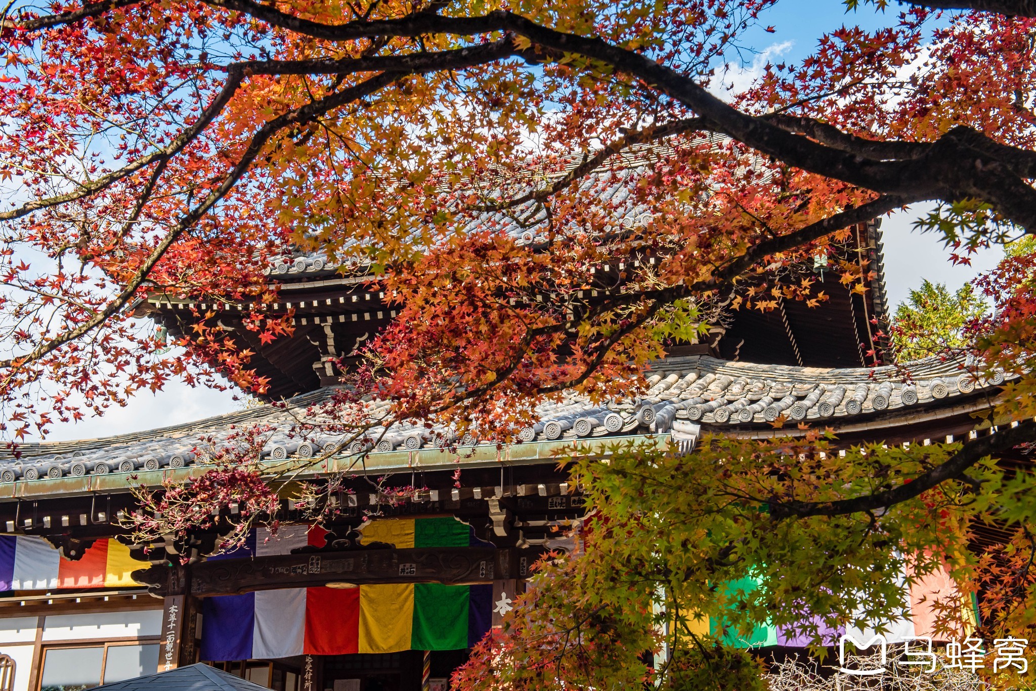 京都自助遊攻略