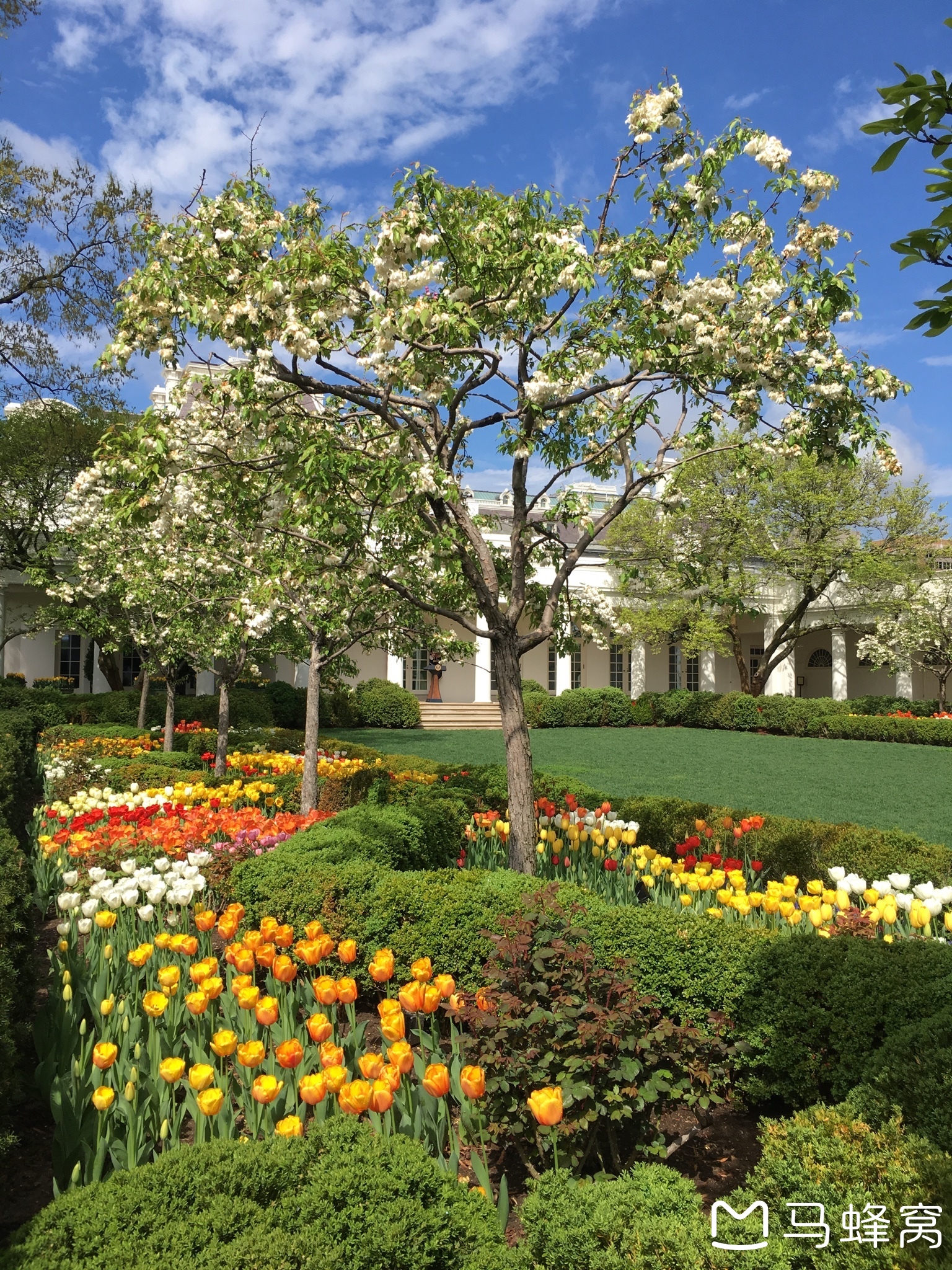三,白宫花园和南草坪