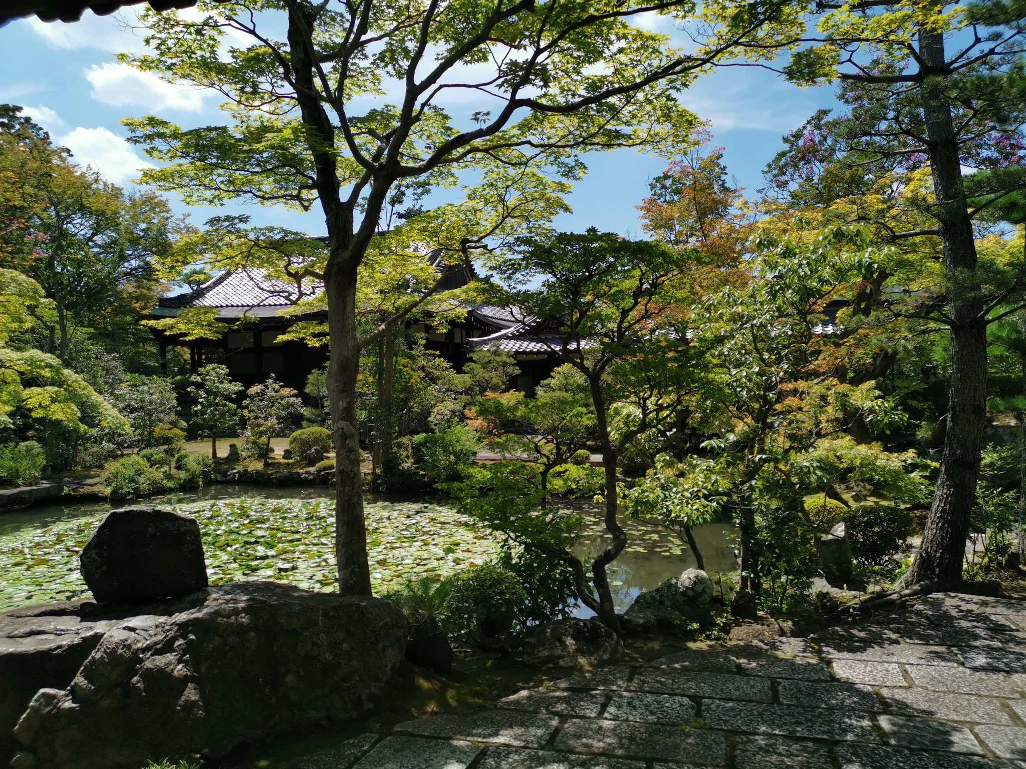 京都自助遊攻略