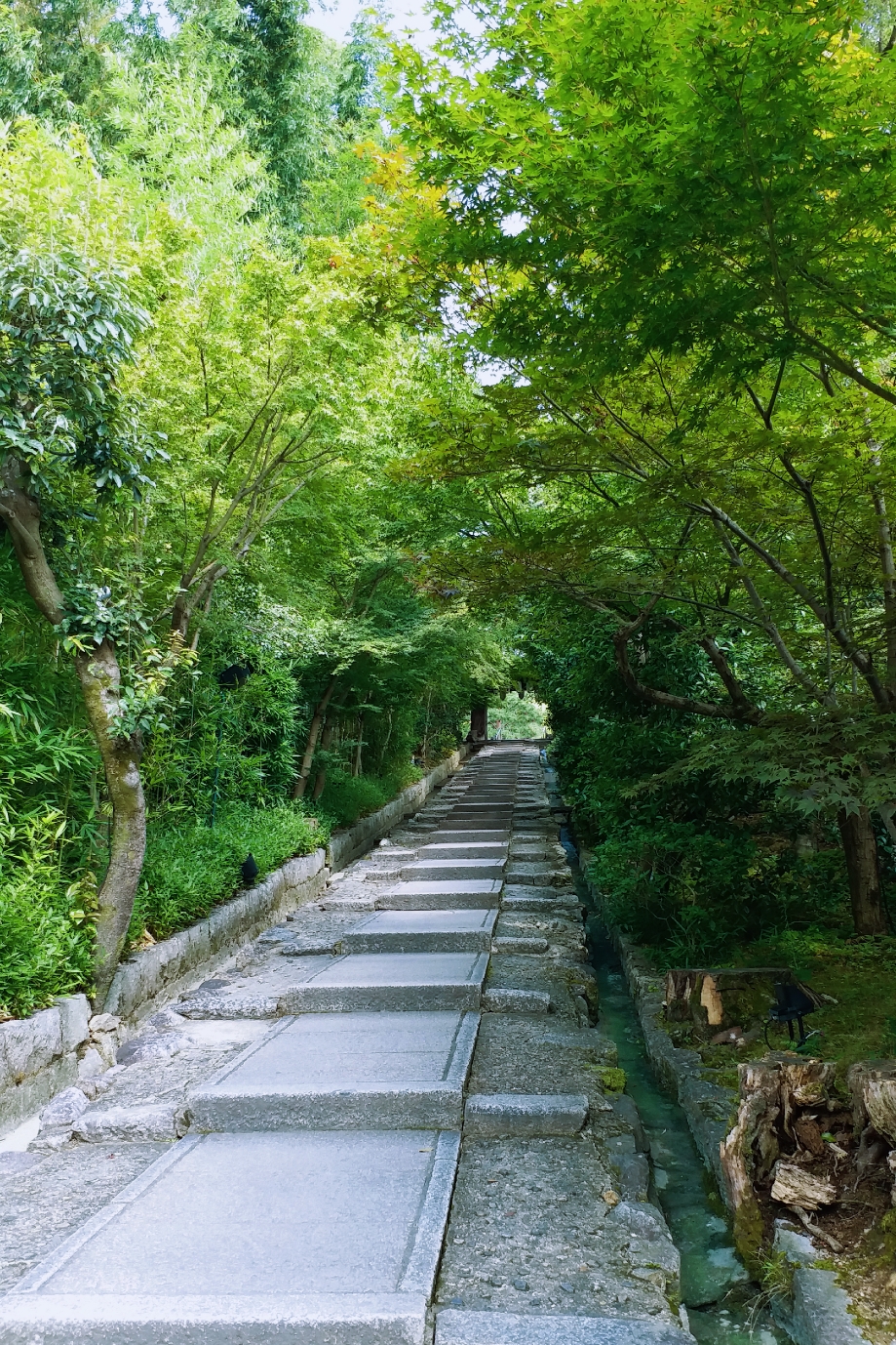 京都自助遊攻略