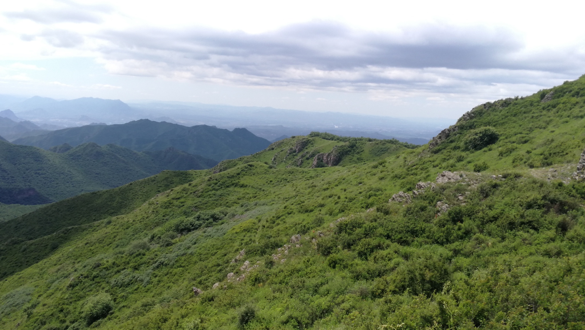 张家口大黑峰青山绿肺百花飘香北京的后花园