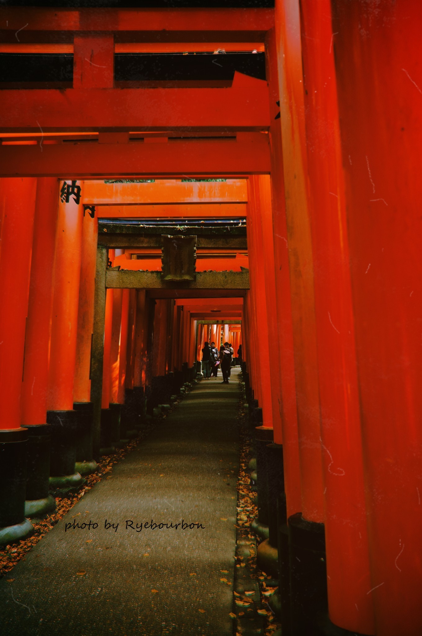 京都自助遊攻略