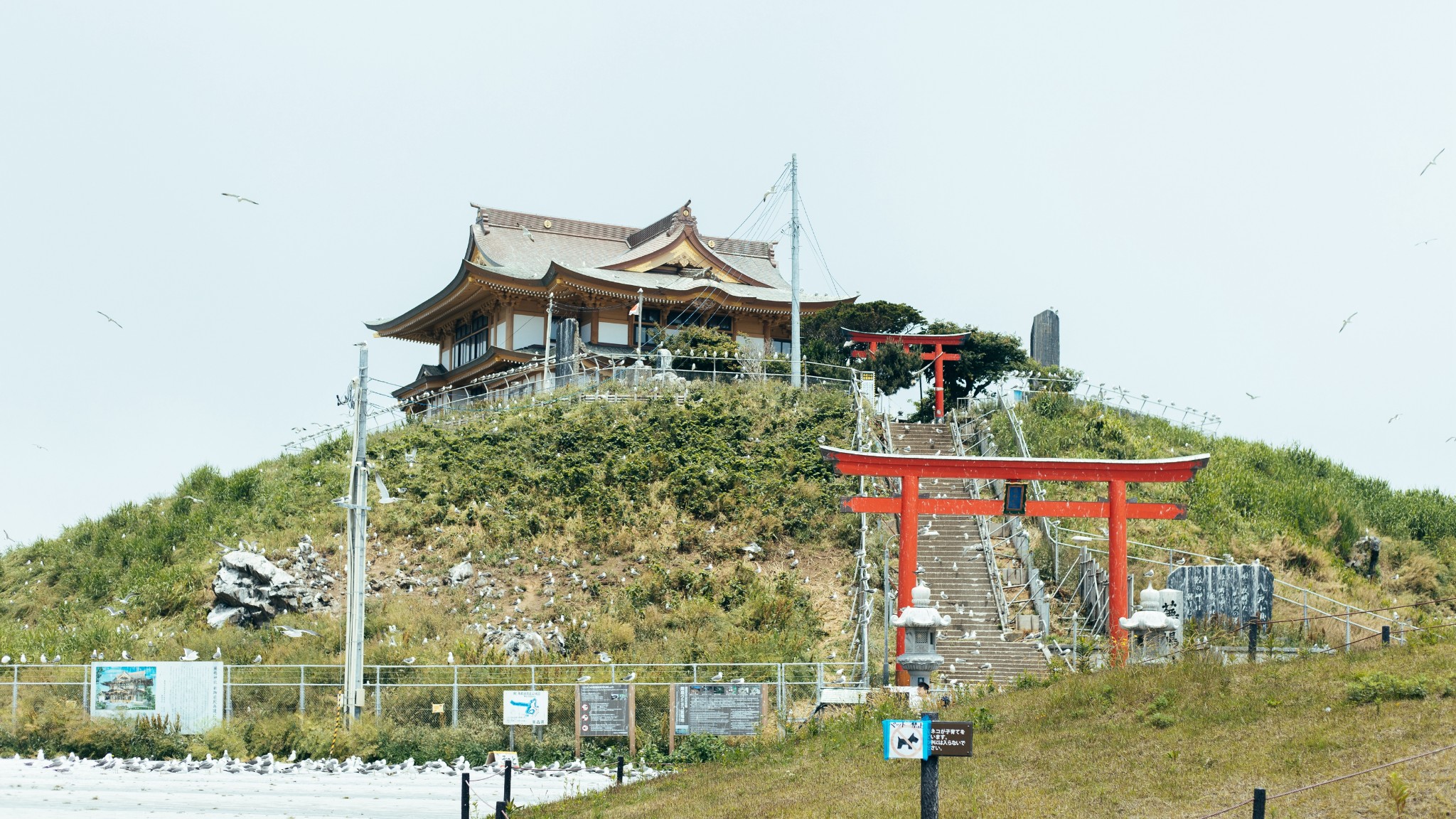 青森縣自助遊攻略