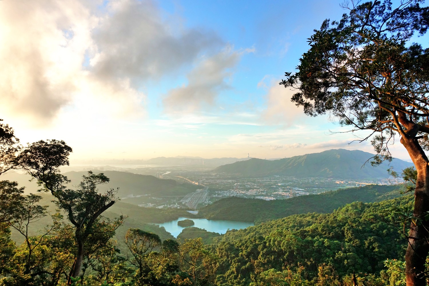 大帽山亦稱大霧山,是全香港最高之山峰,山上可俯瞰新界及港島.