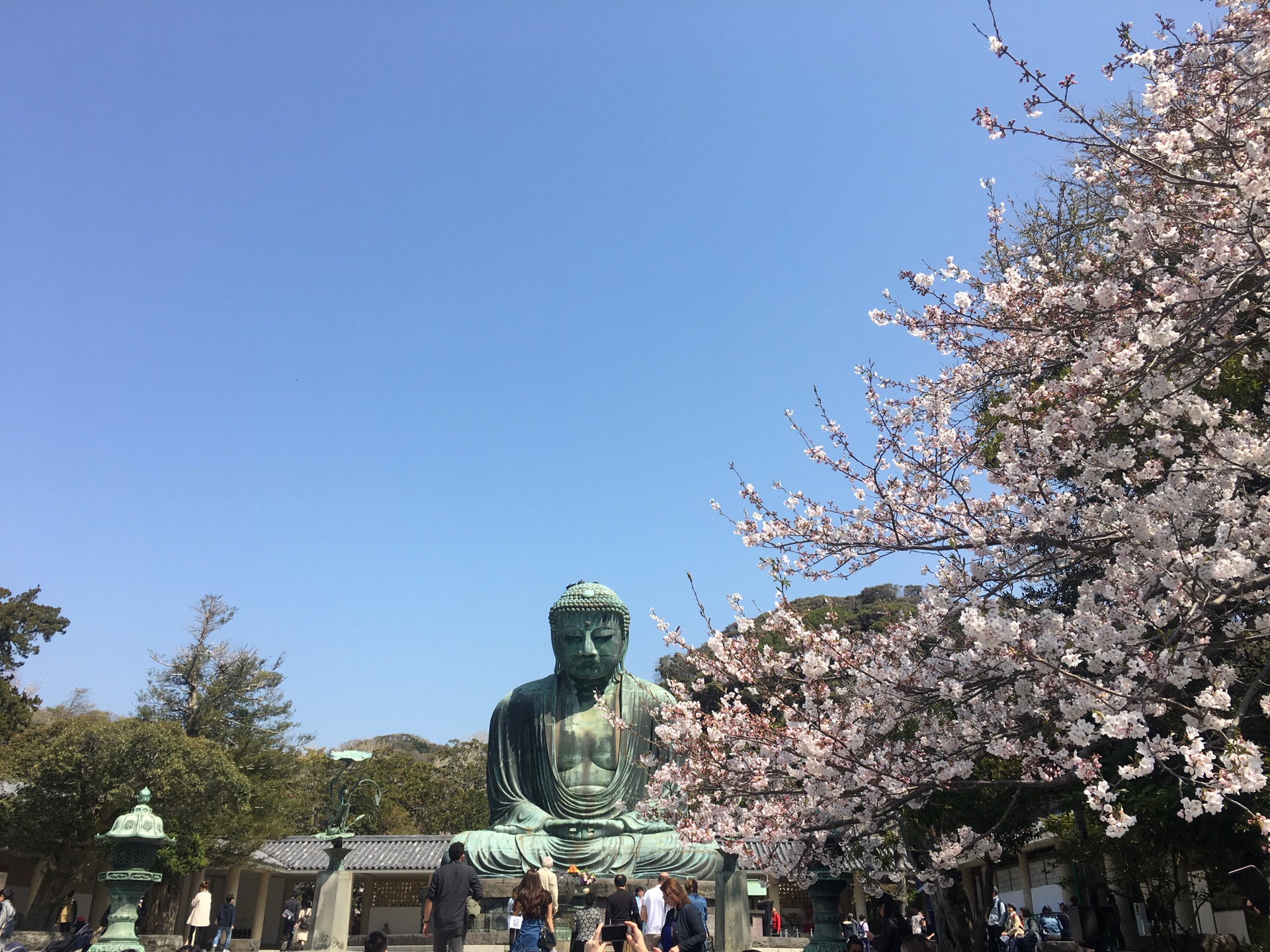 東京自助遊攻略