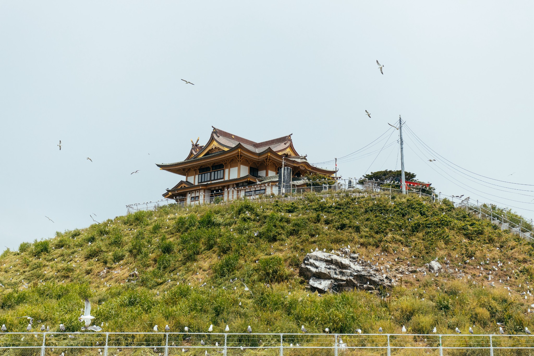 青森縣自助遊攻略