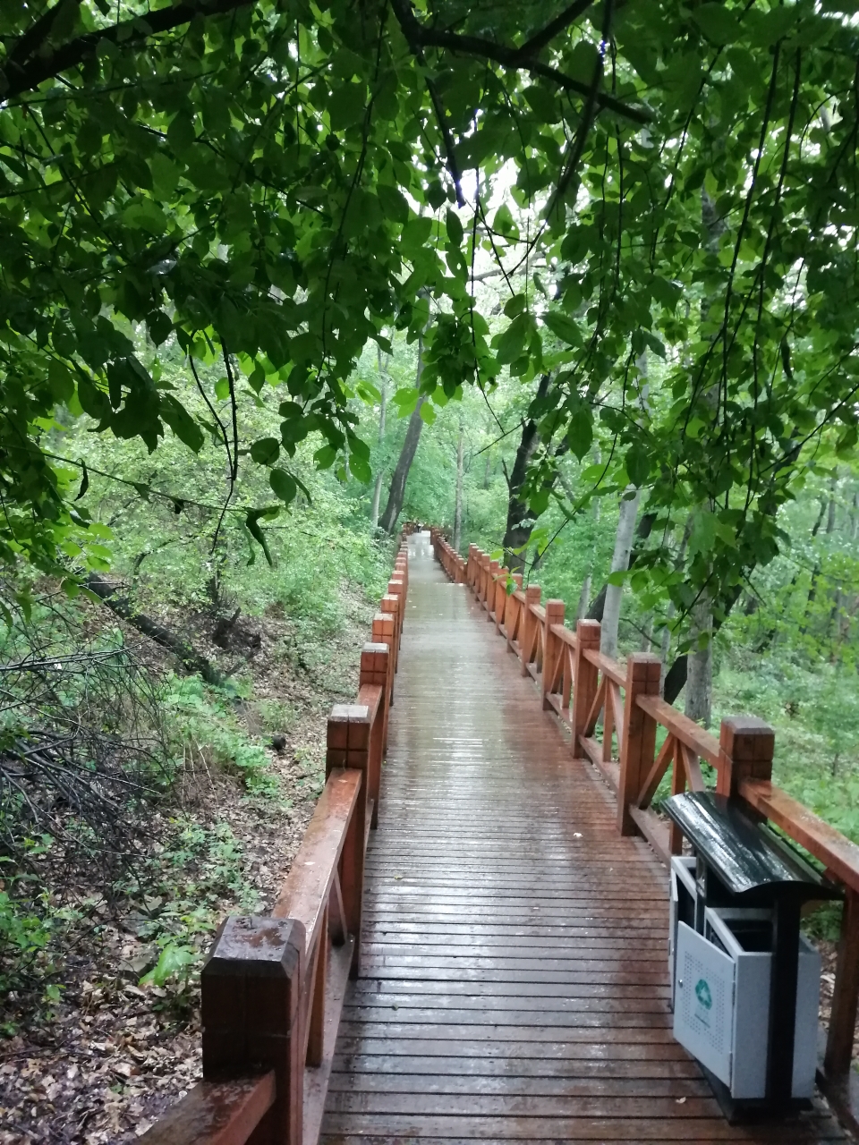 端午吉林龍潭山公園,松花湖北景區自駕兩日遊