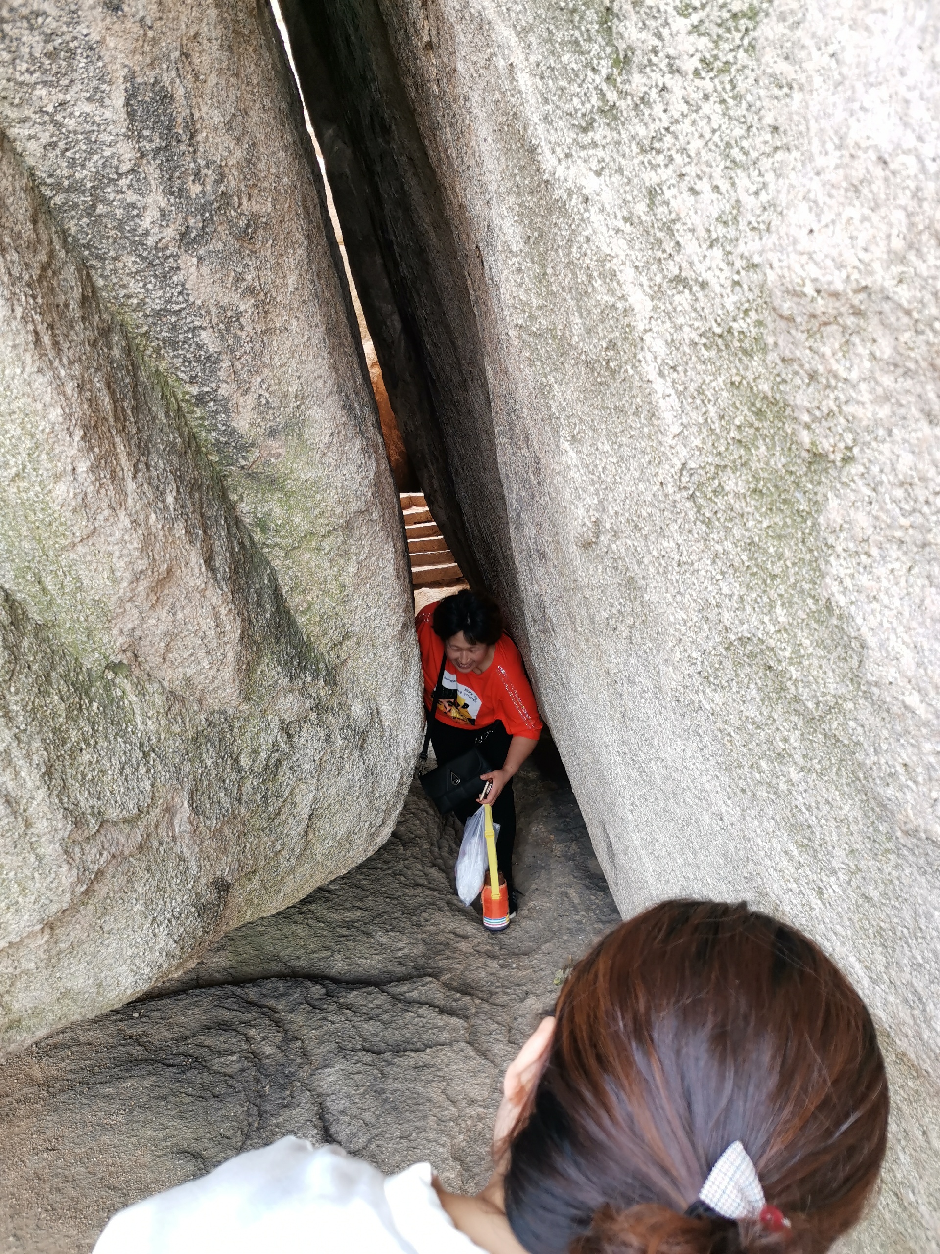 五莲县绿菲源林果家庭农场