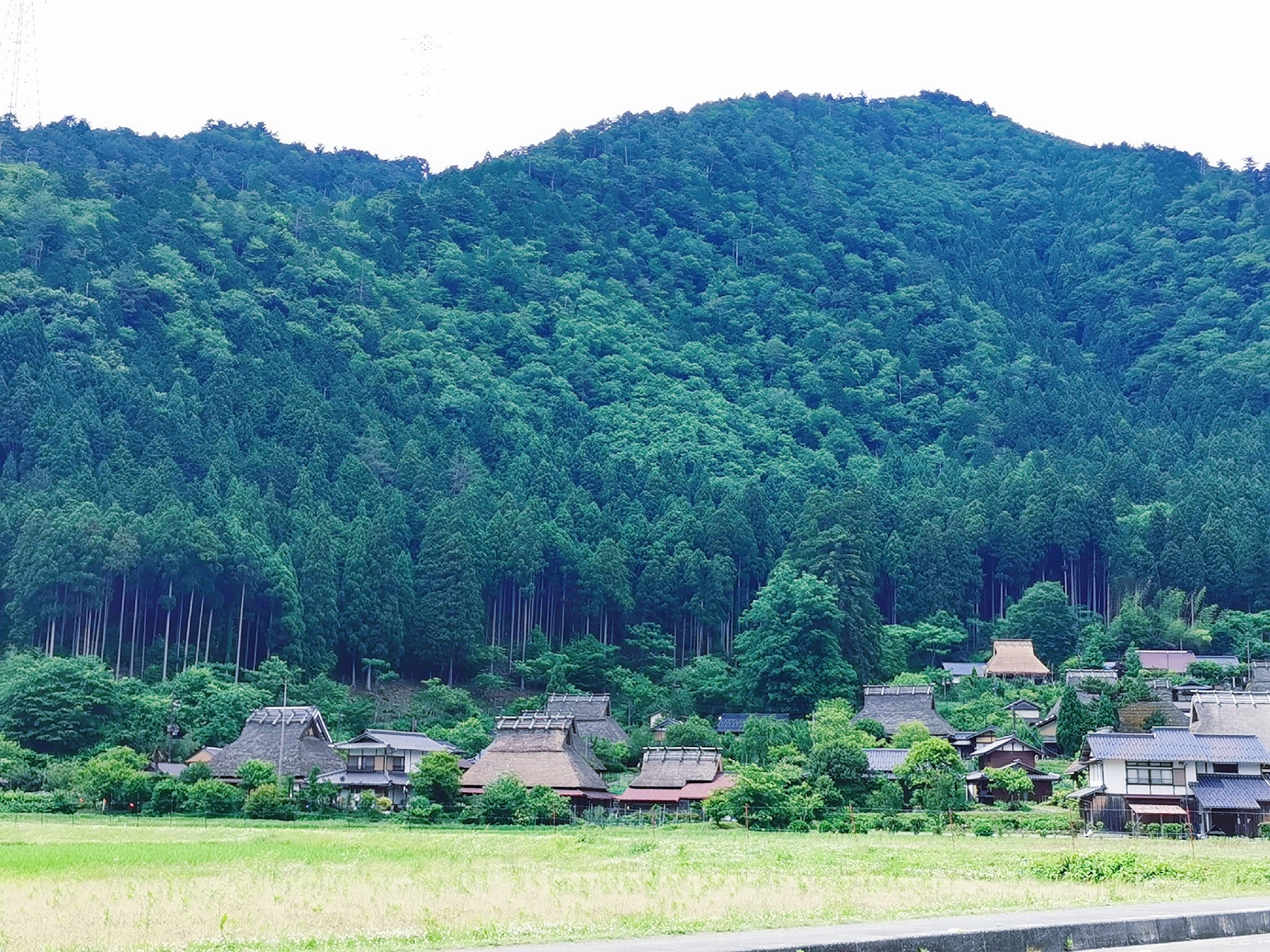 京都自助遊攻略