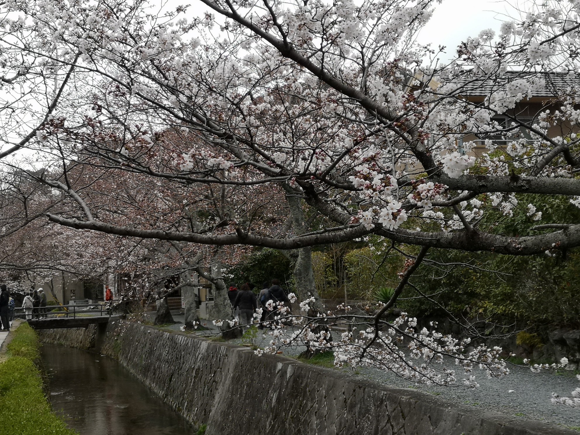 京都自助遊攻略