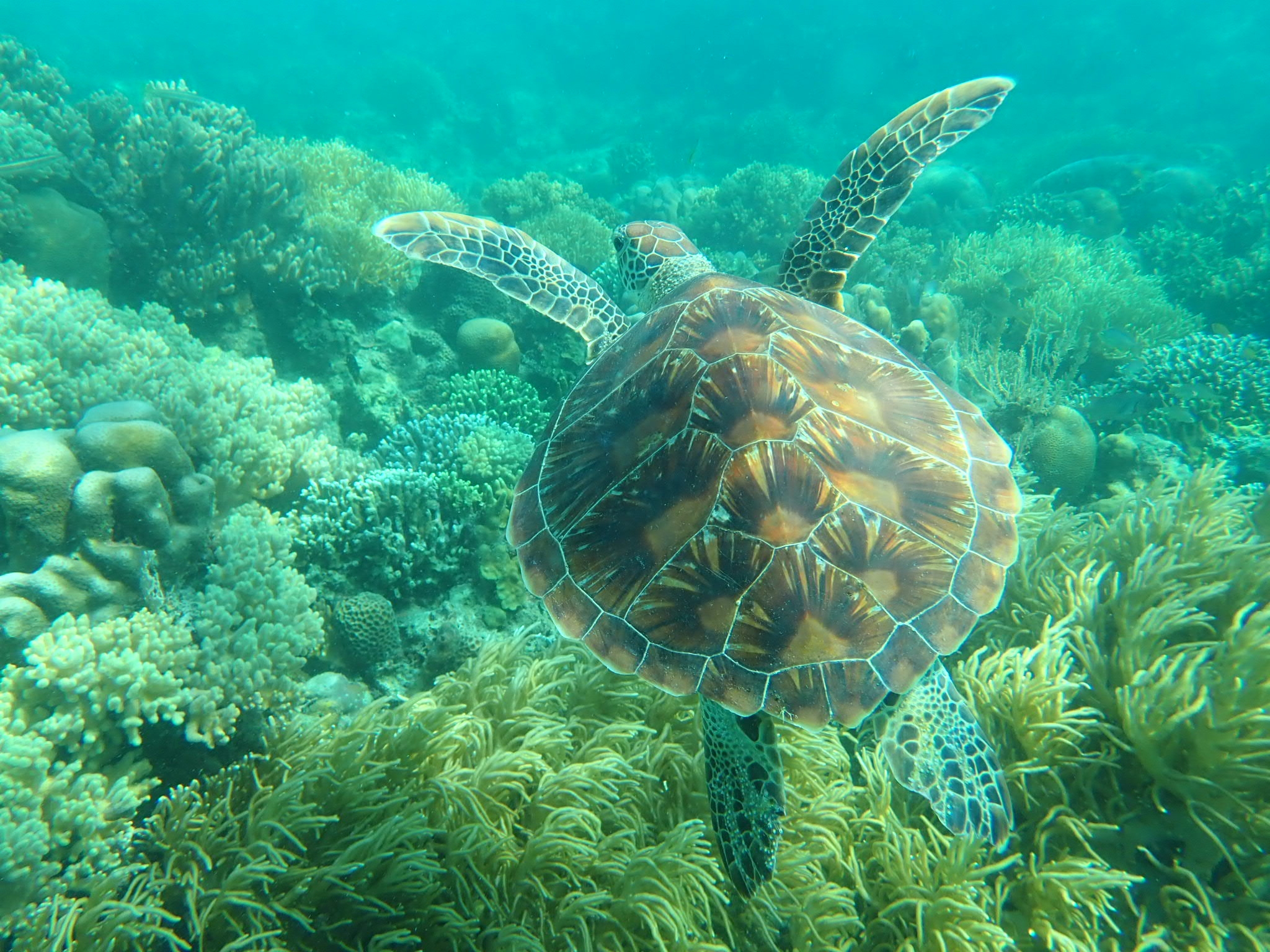 蓝波湾温泉水世界