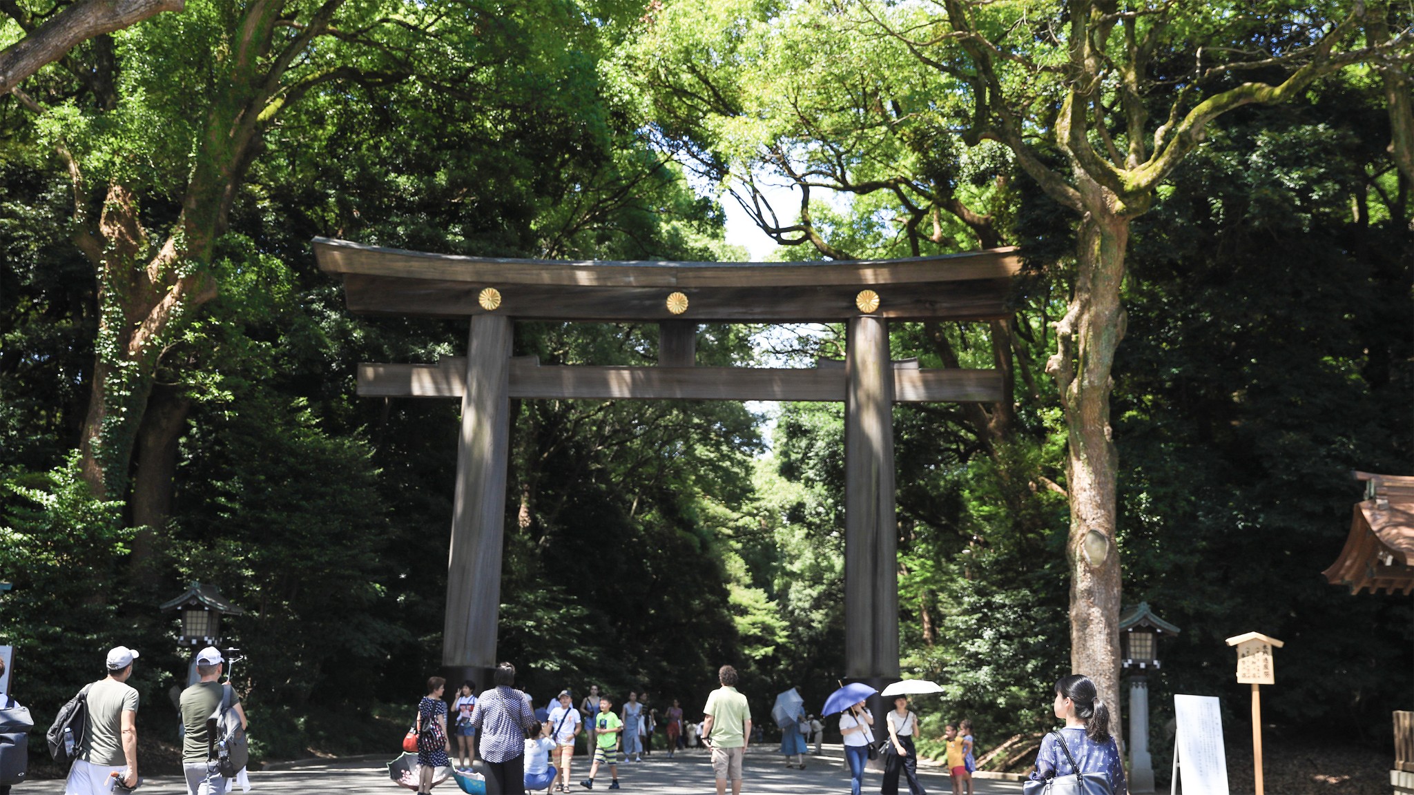 東京自助遊攻略