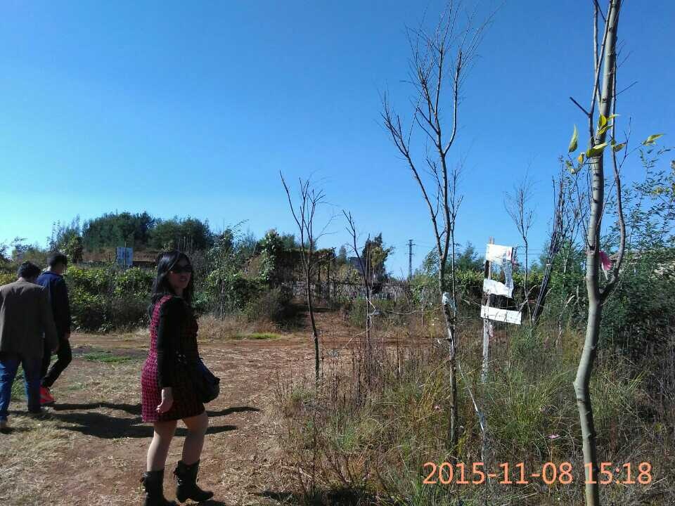 云南师范大学附属仁泽学校