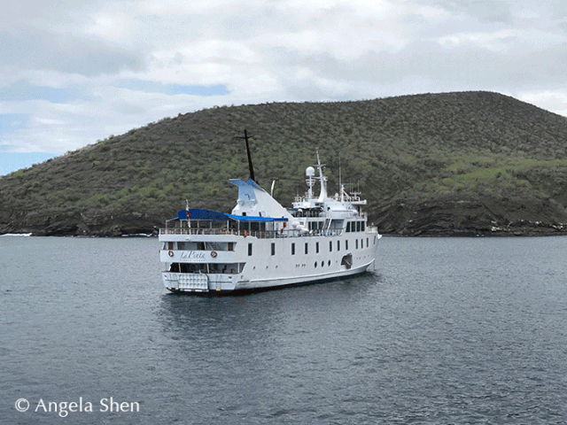 640_480gif 动态图 动图