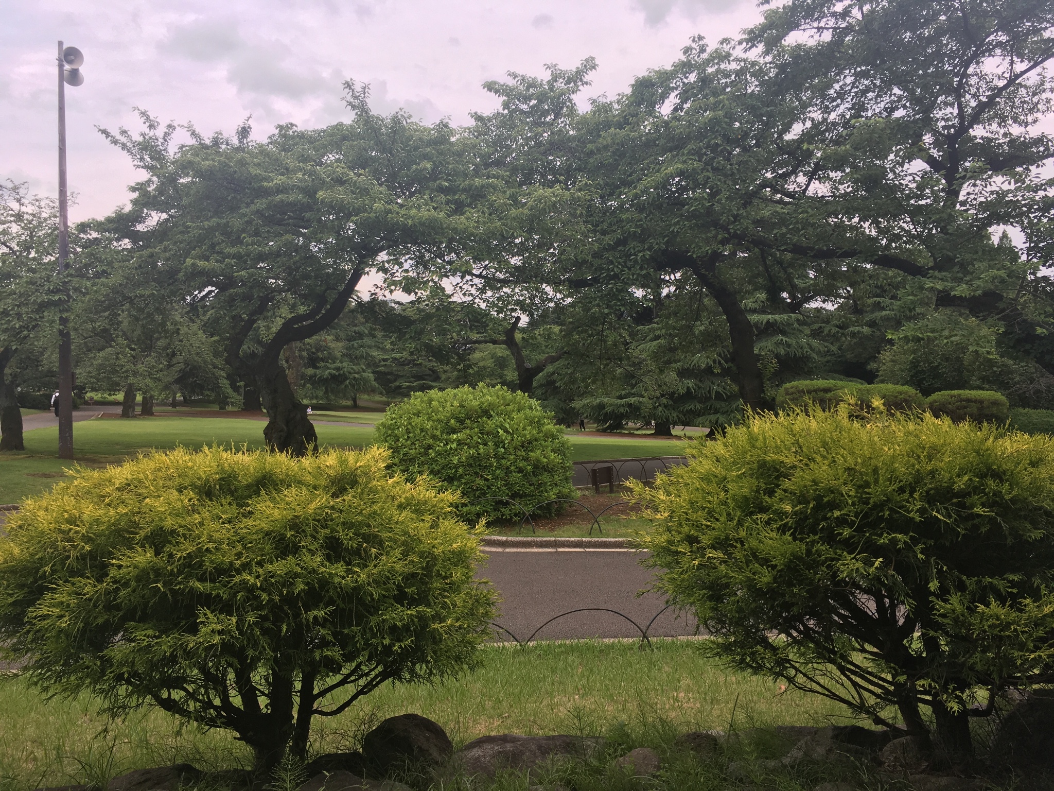 東京自助遊攻略