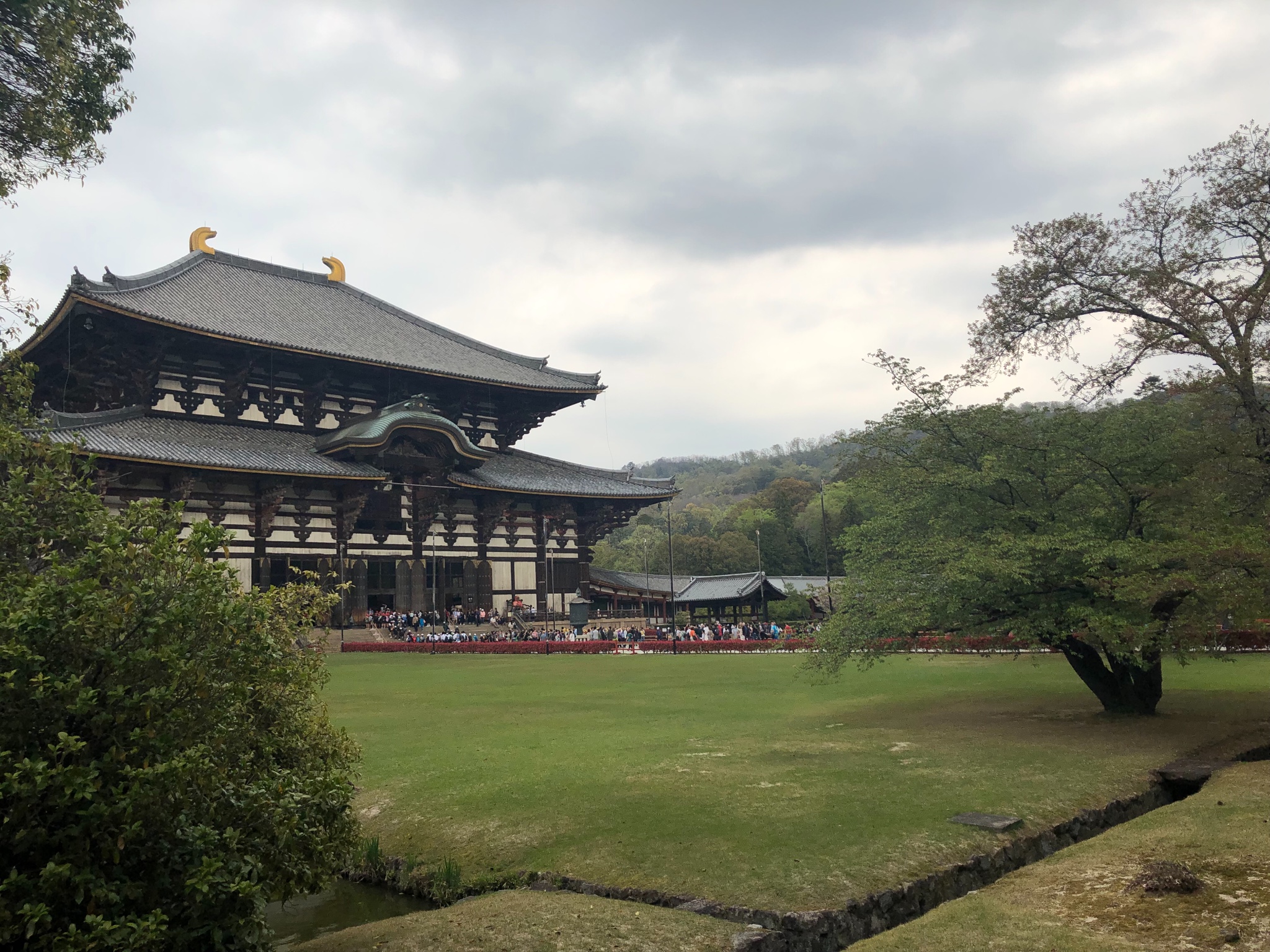 京都自助遊攻略