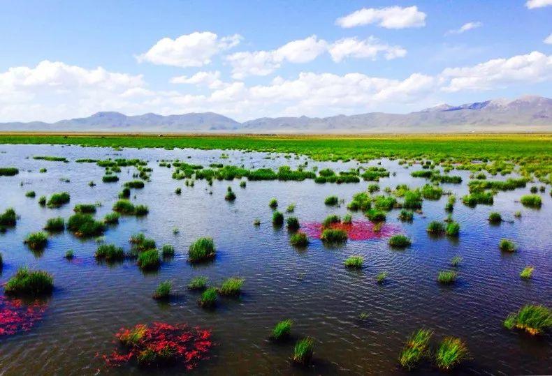 兰州到成都沿途的旅游景点_兰州到成都沿途的旅游景点有哪些