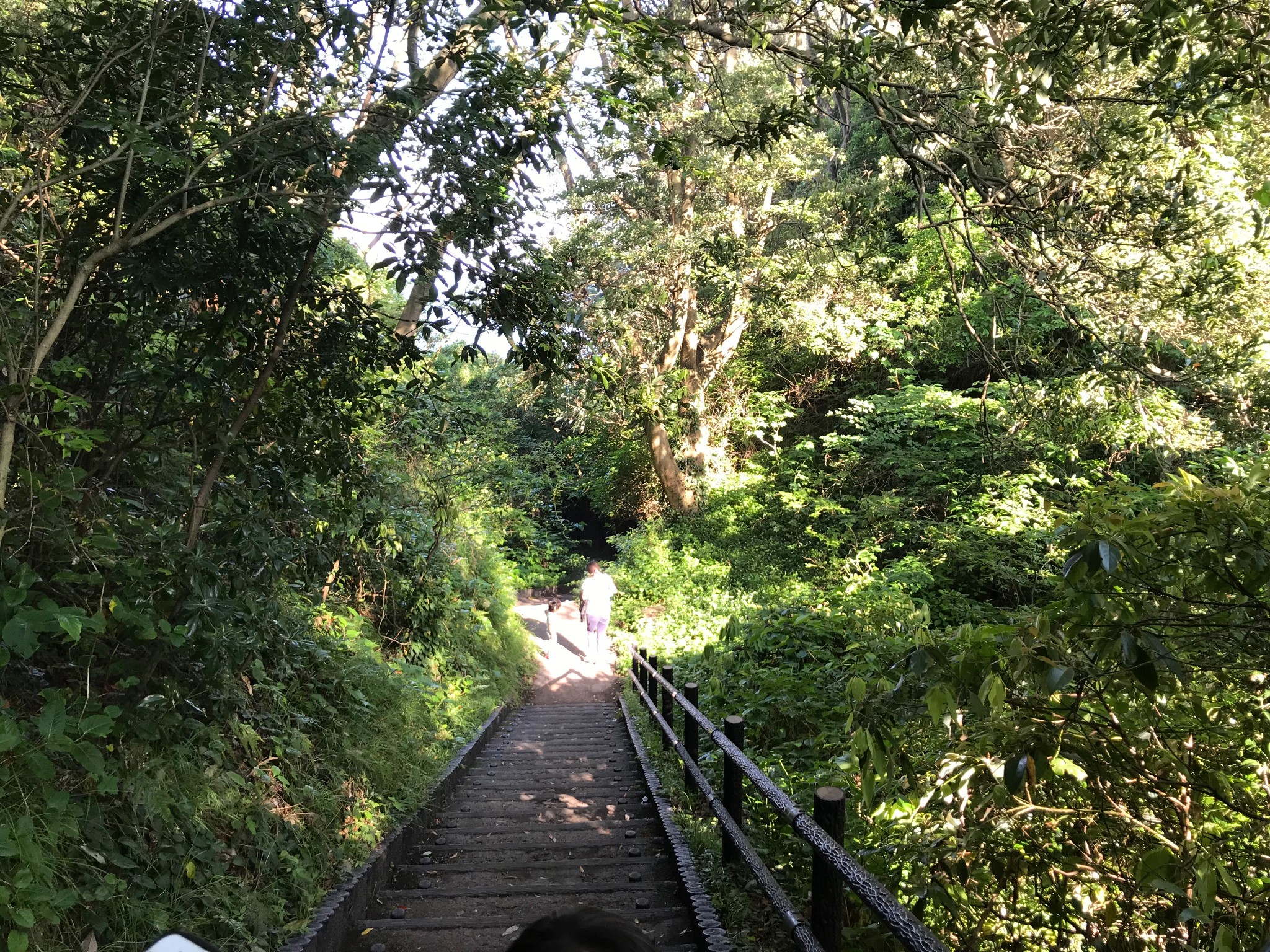 東京自助遊攻略