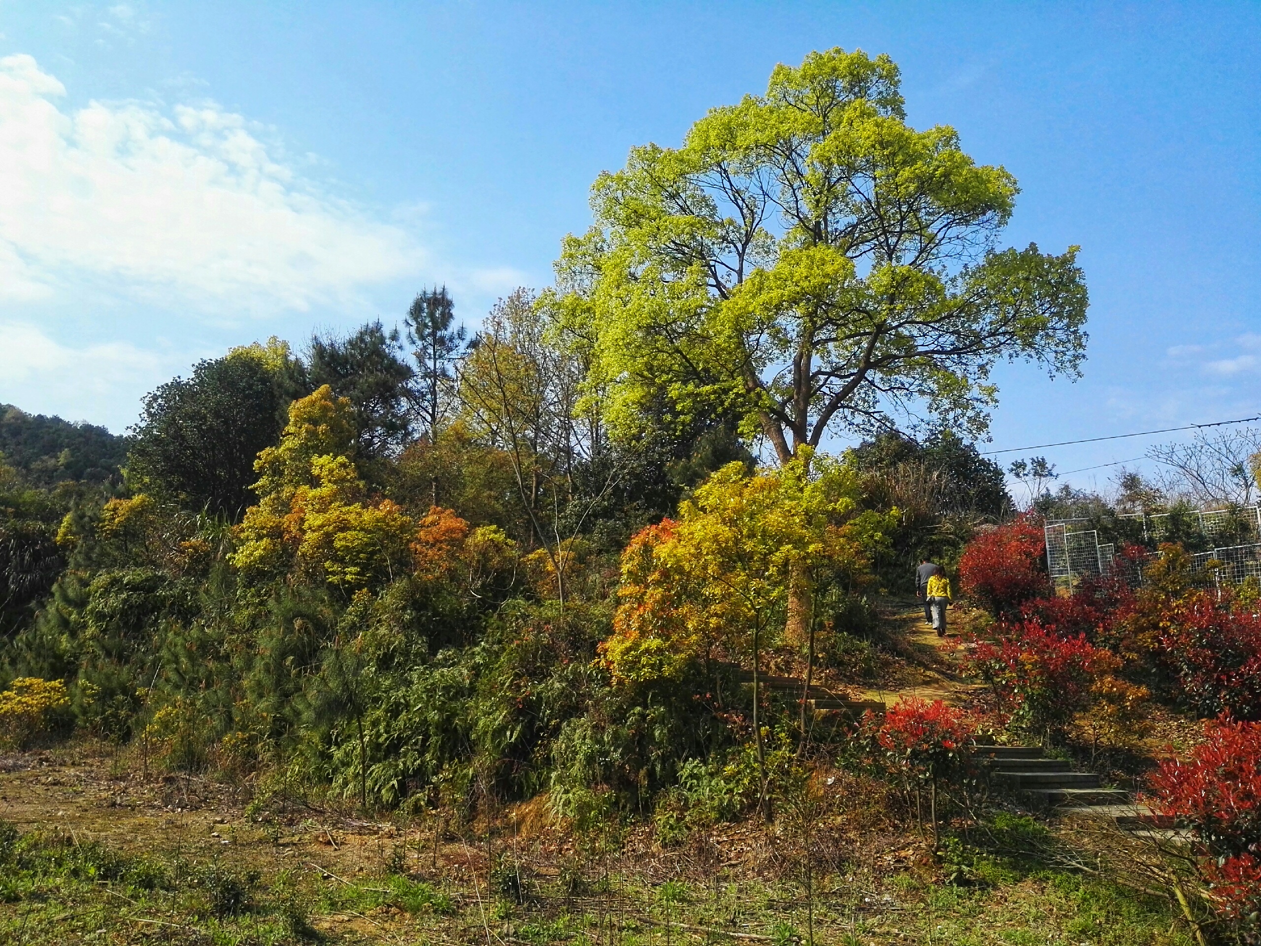 石夫人风景区