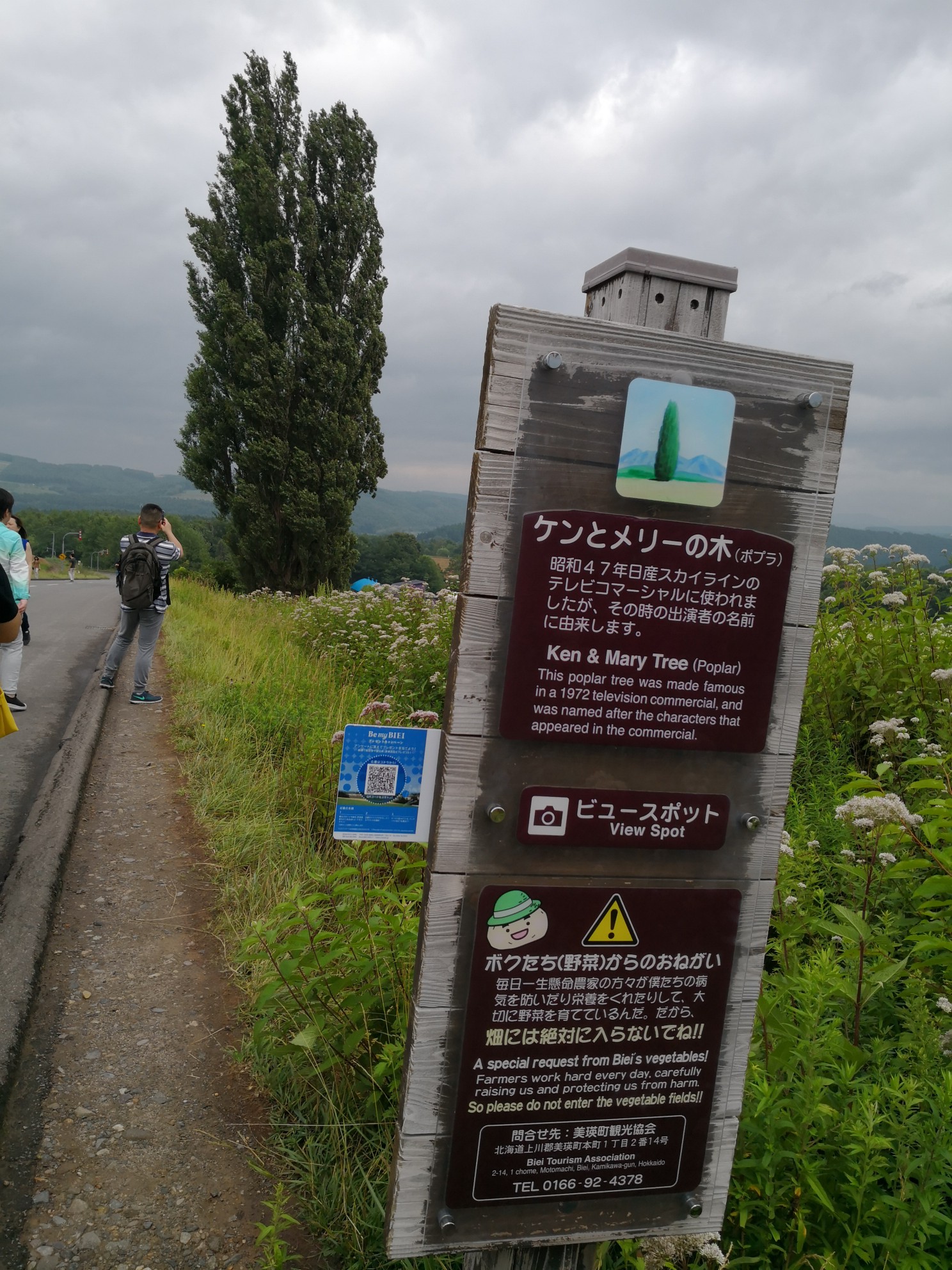 北海道自助遊攻略