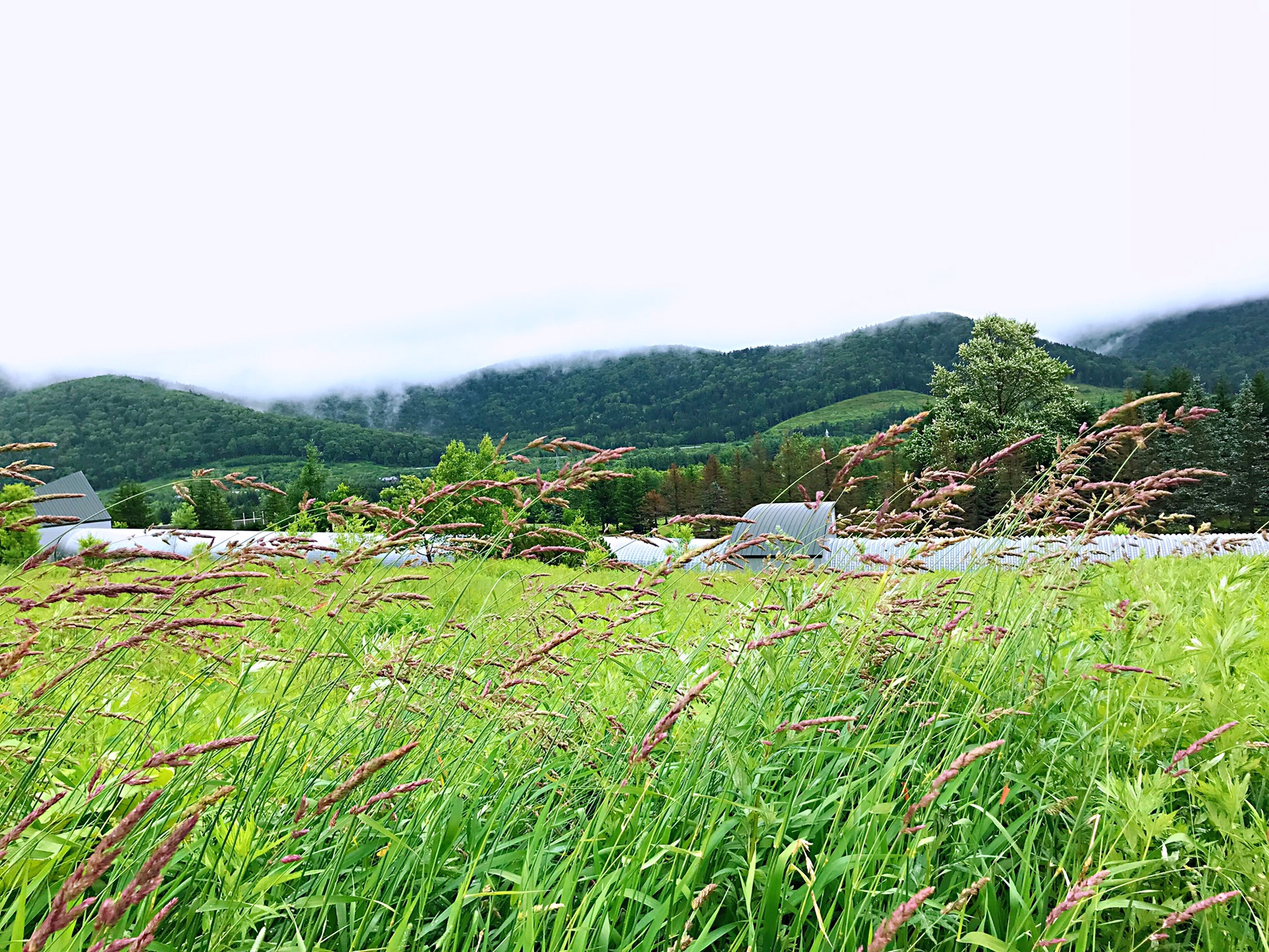 北海道自助遊攻略