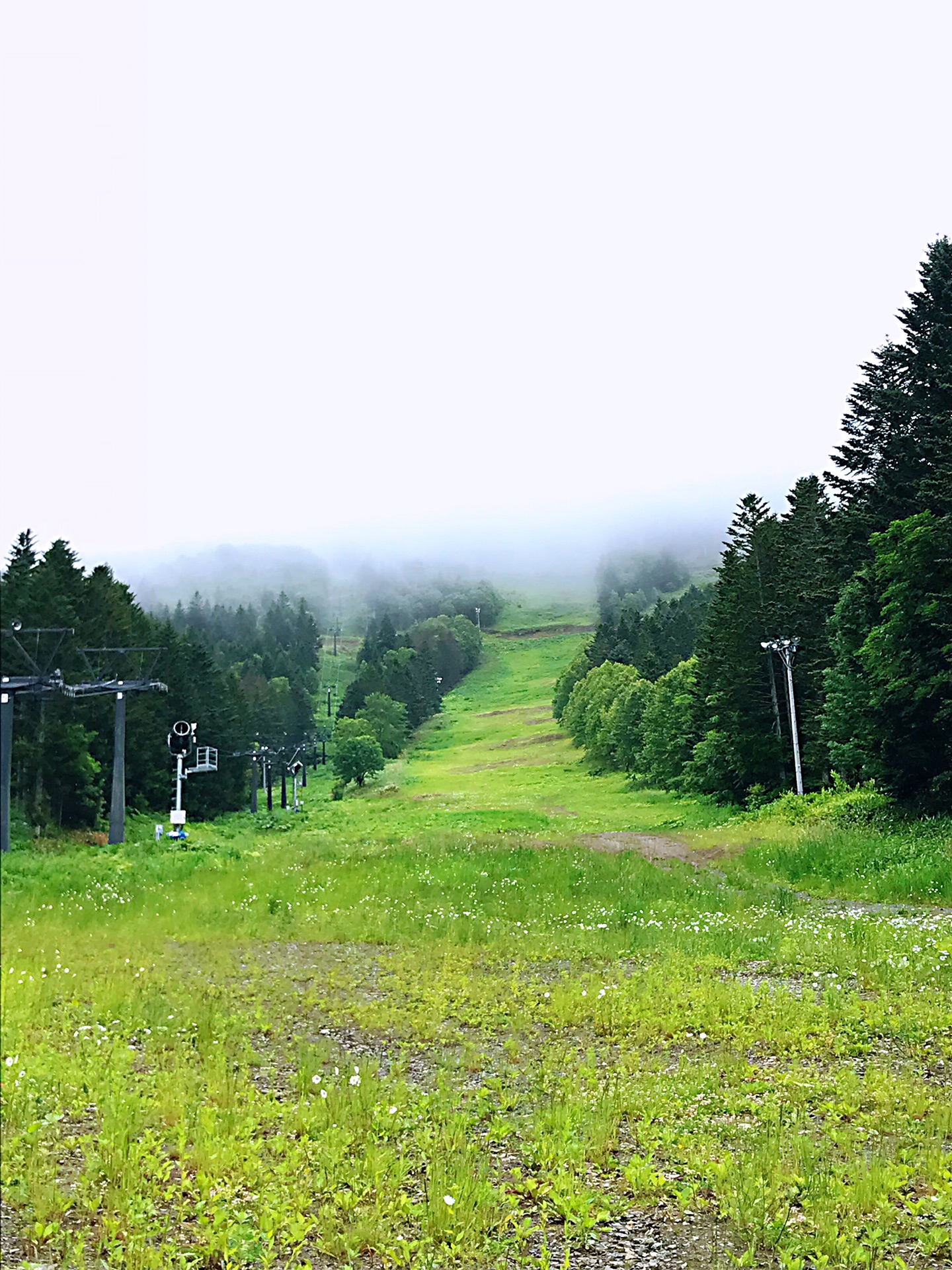 北海道自助遊攻略