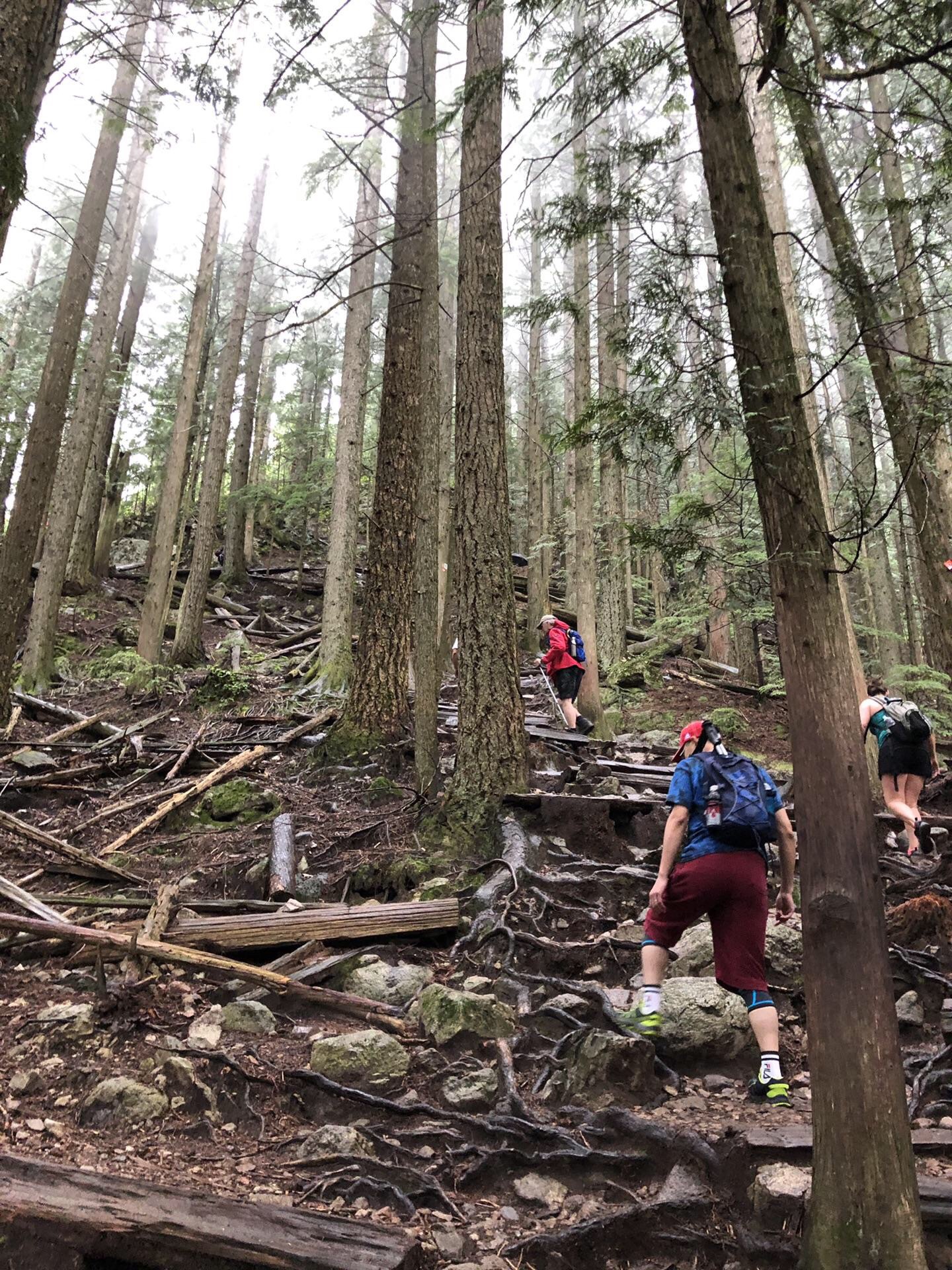 挑战高难度Grouse Grind ，登上温哥华之巅Grou...