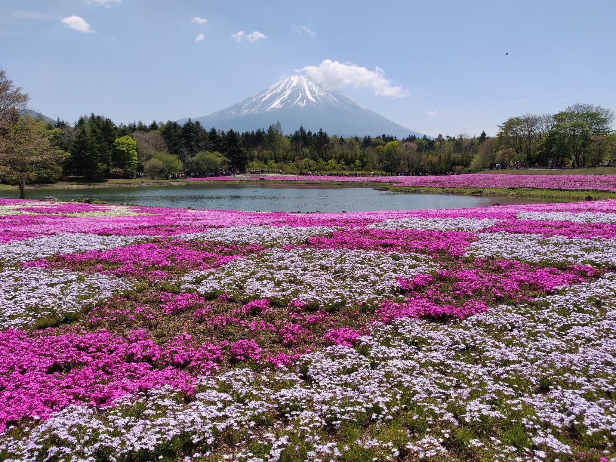 把富士山看到审美疲劳的完美四日游